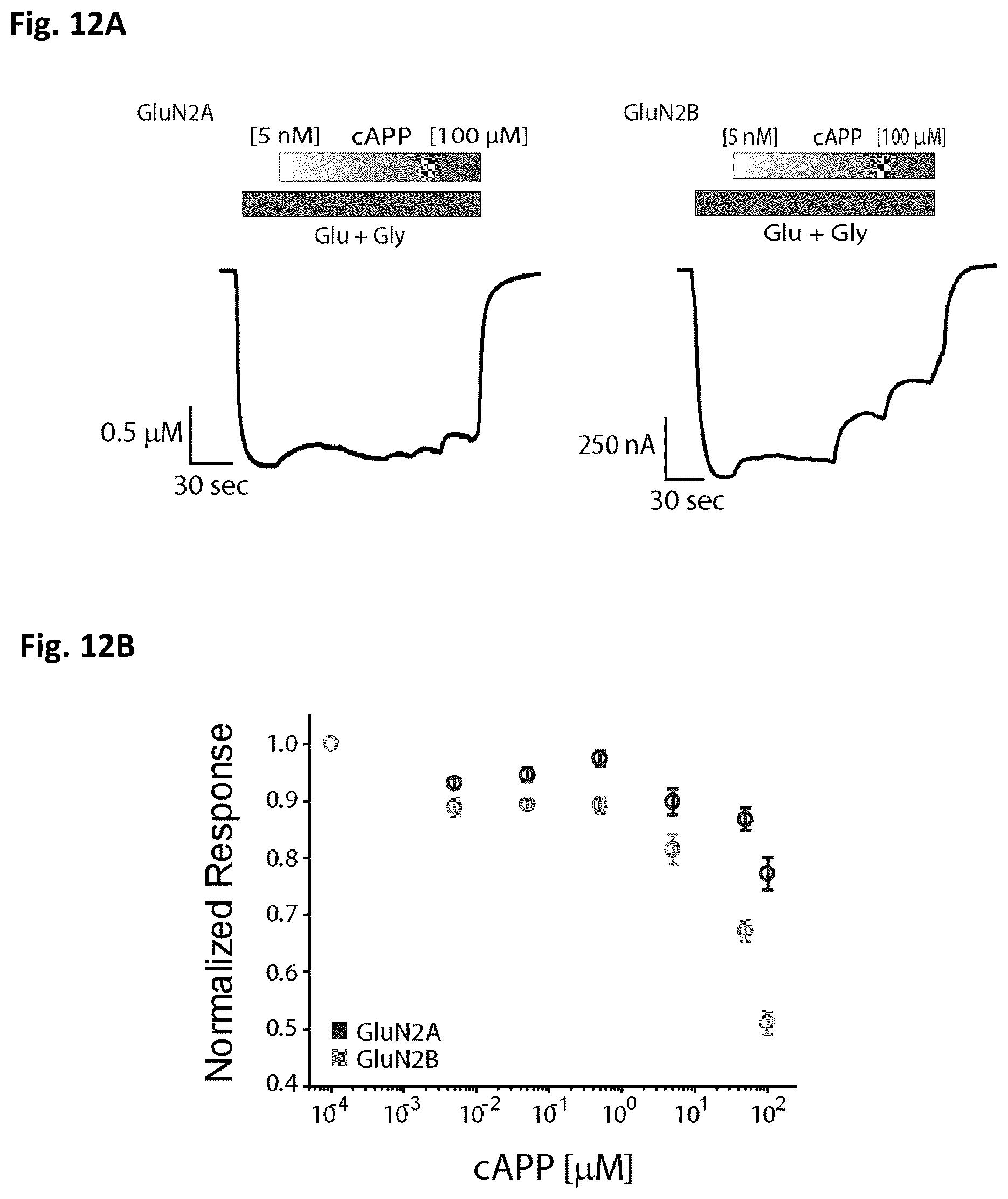 Patent US12583892 Figure 10 – Conus-based toxin peptides, nucleic acids encoding same and uses thereof in modulating NMDA receptors