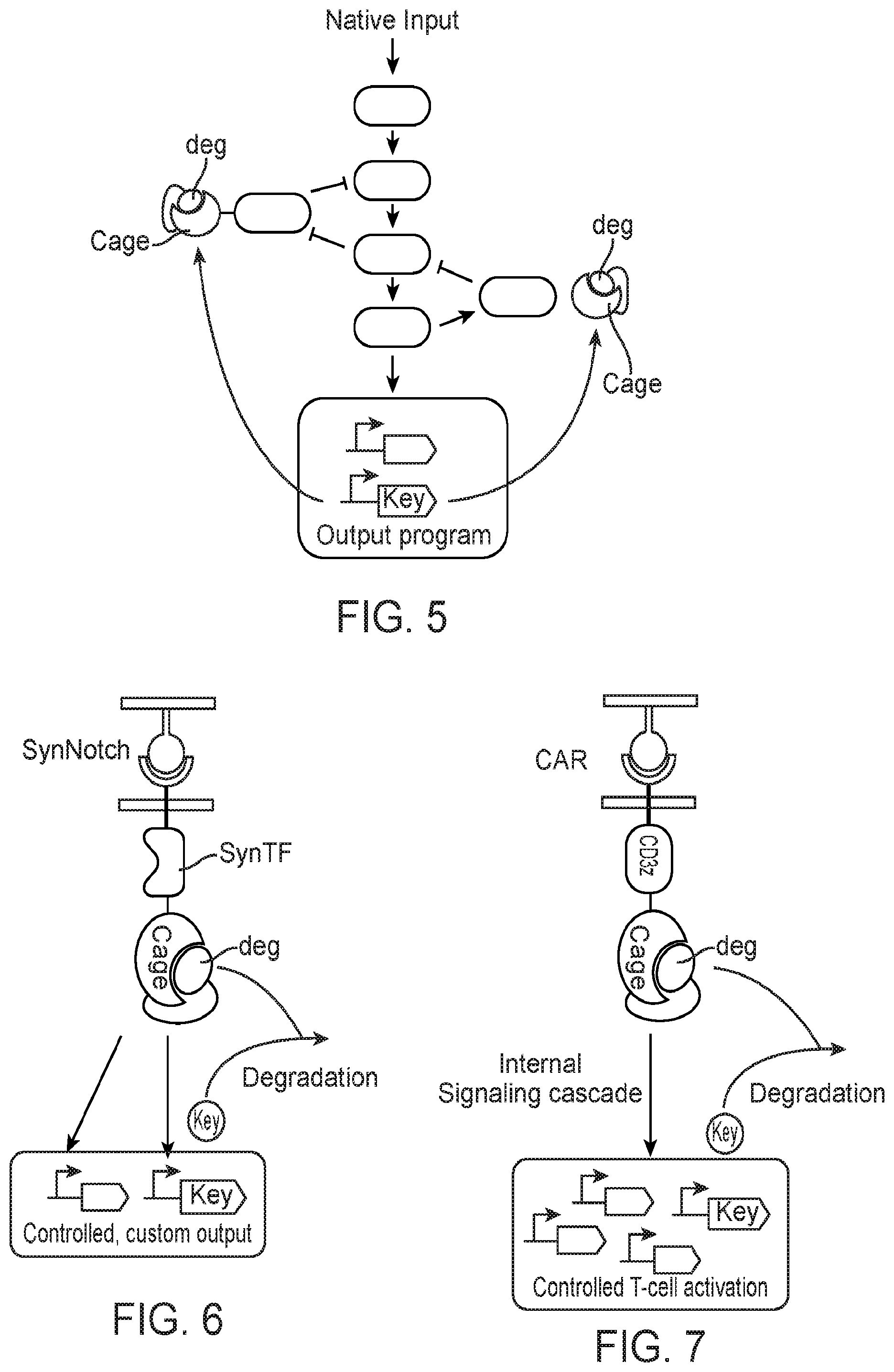 Patent US12583896 Figure 2 – Caged-degron-based molecular feedback circuits and methods of using the same