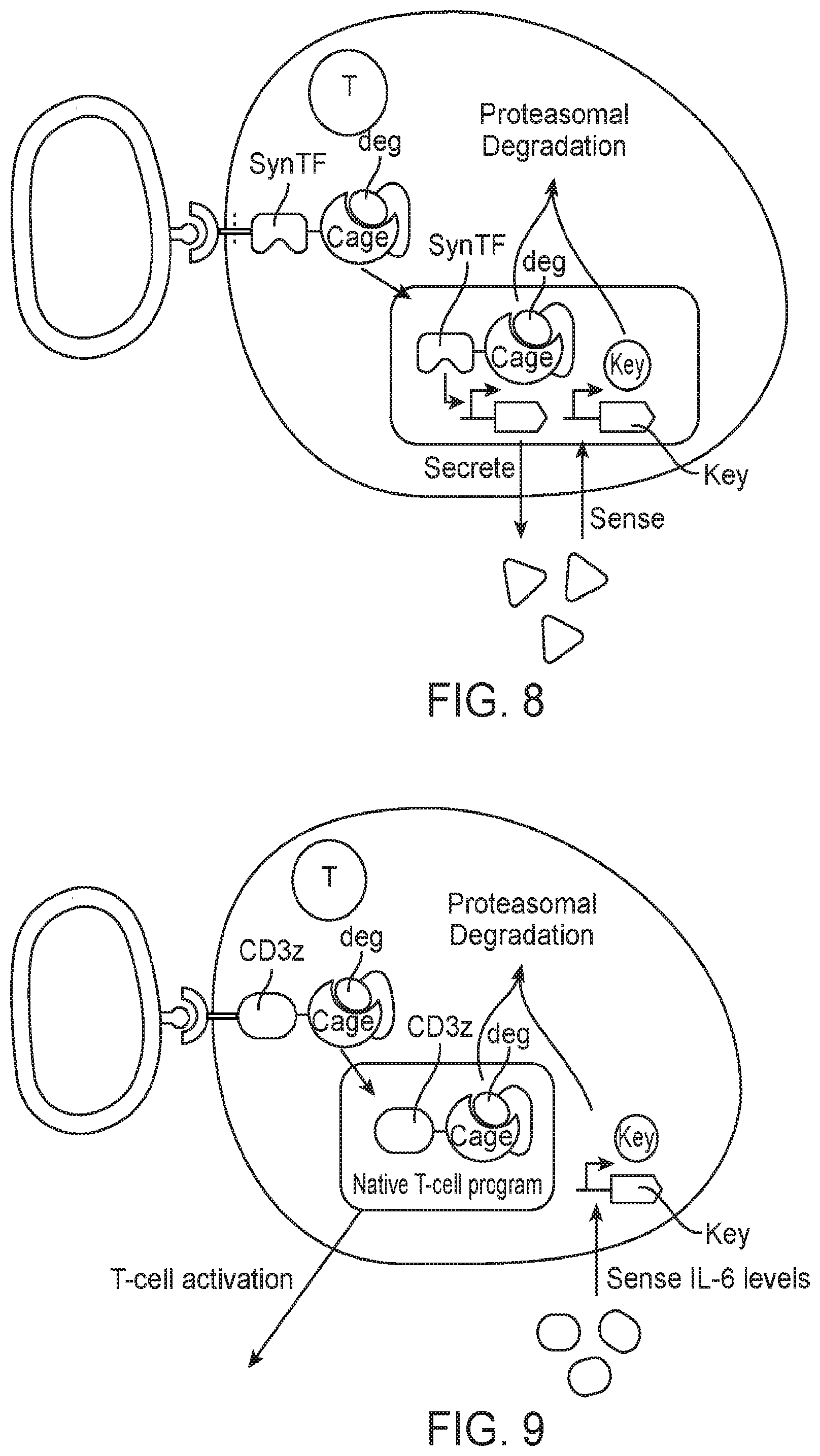 Patent US12583896 Figure 3 – Caged-degron-based molecular feedback circuits and methods of using the same