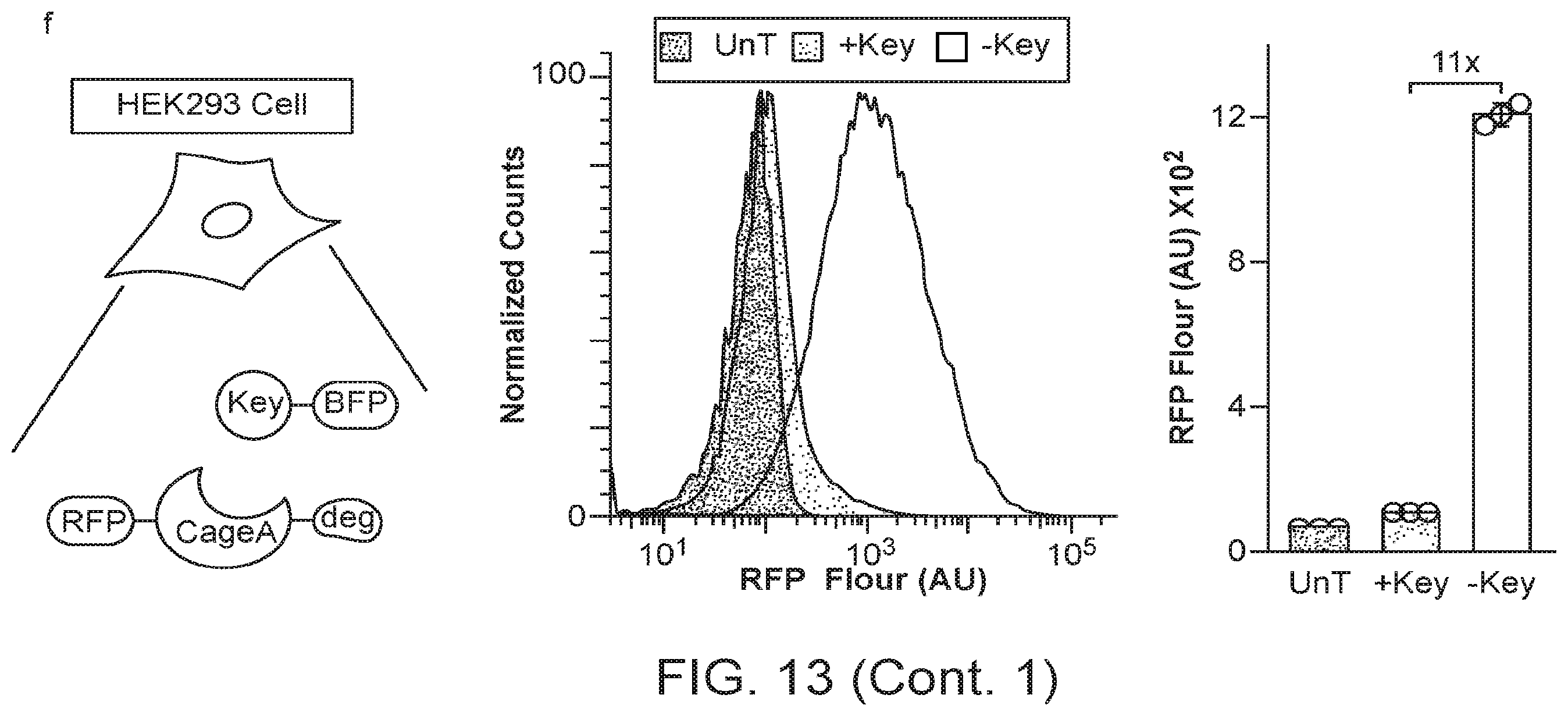 Patent US12583896 Figure 10 – Caged-degron-based molecular feedback circuits and methods of using the same