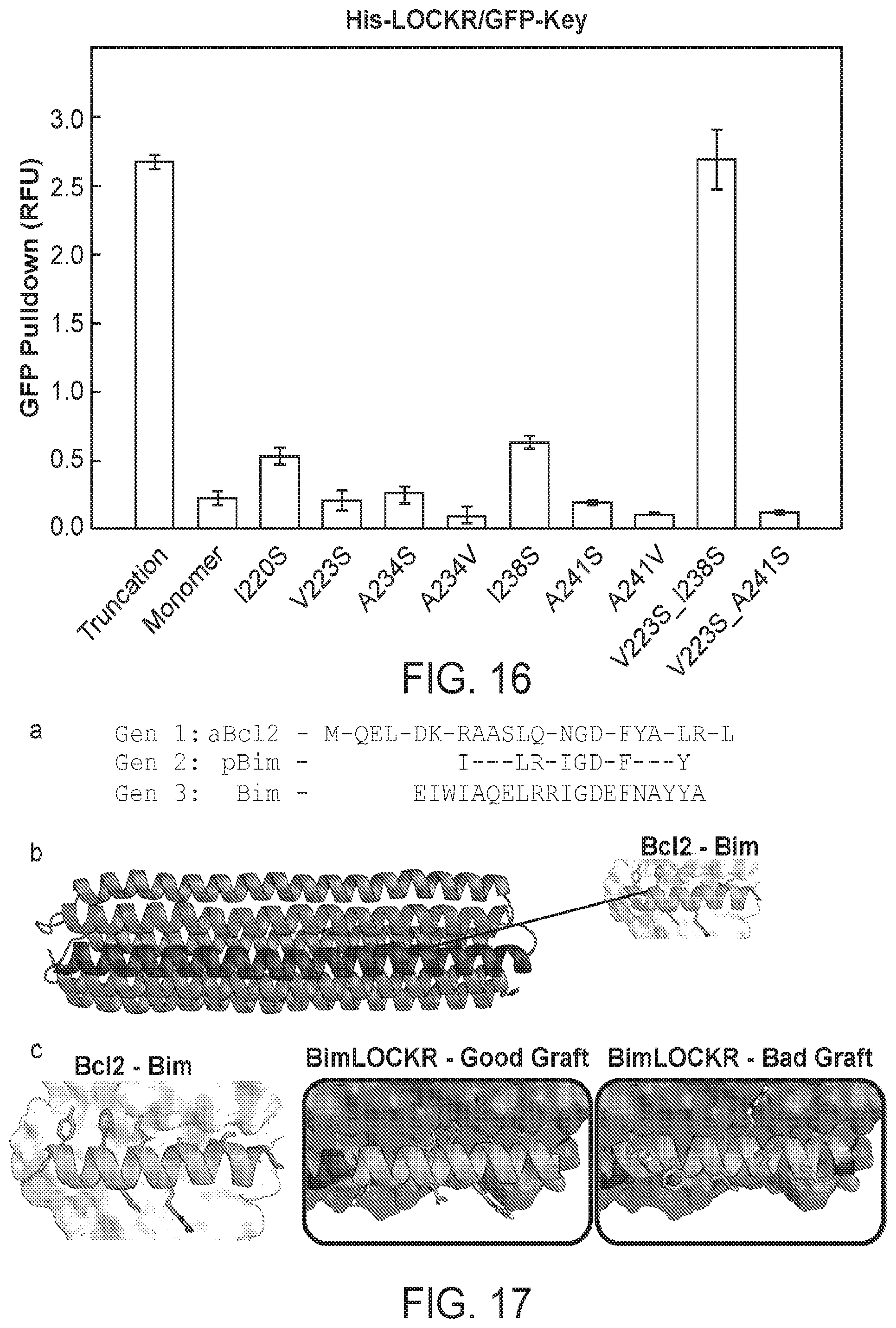Patent US12583896 Figure 15 – Caged-degron-based molecular feedback circuits and methods of using the same
