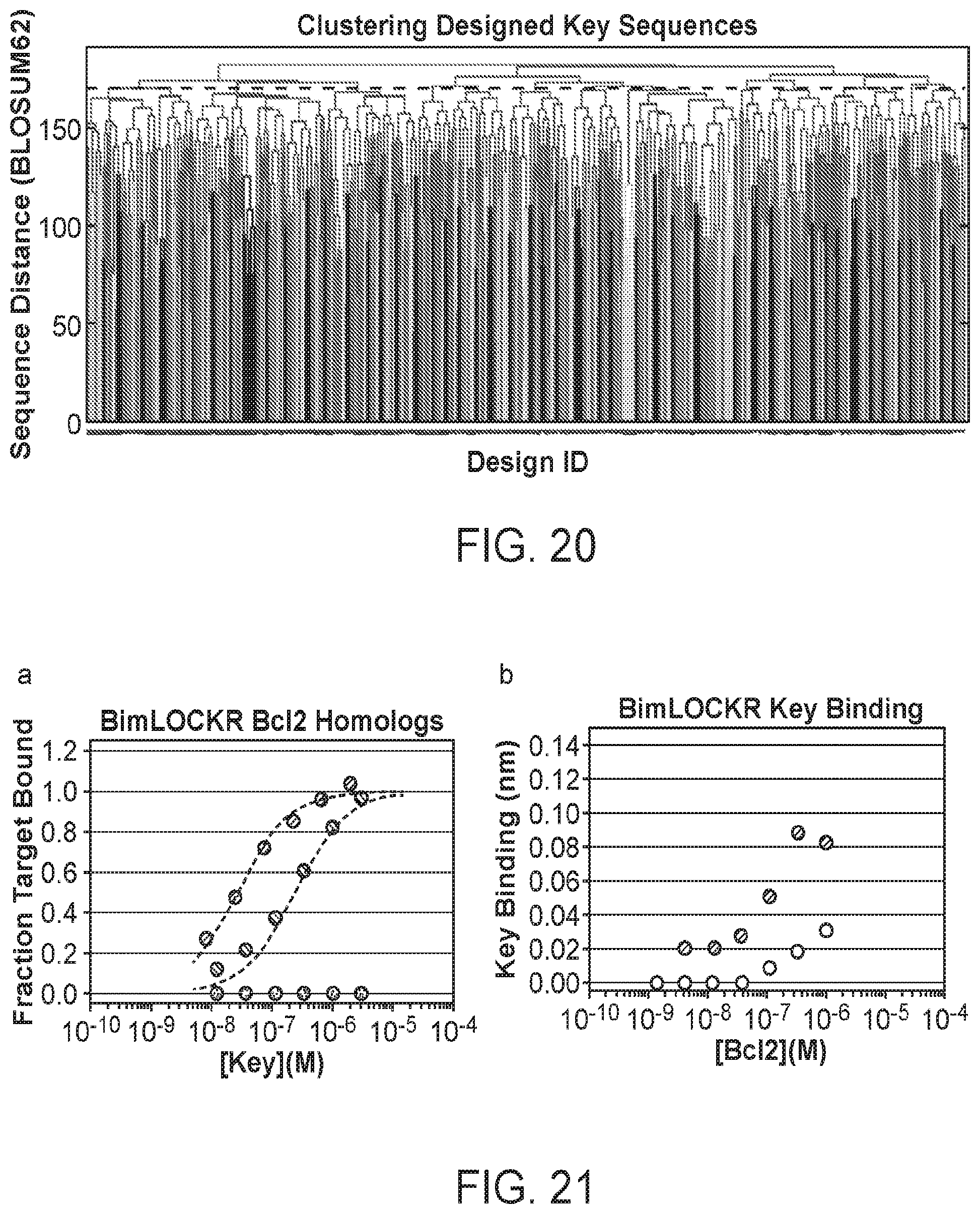 Patent US12583896 Figure 19 – Caged-degron-based molecular feedback circuits and methods of using the same