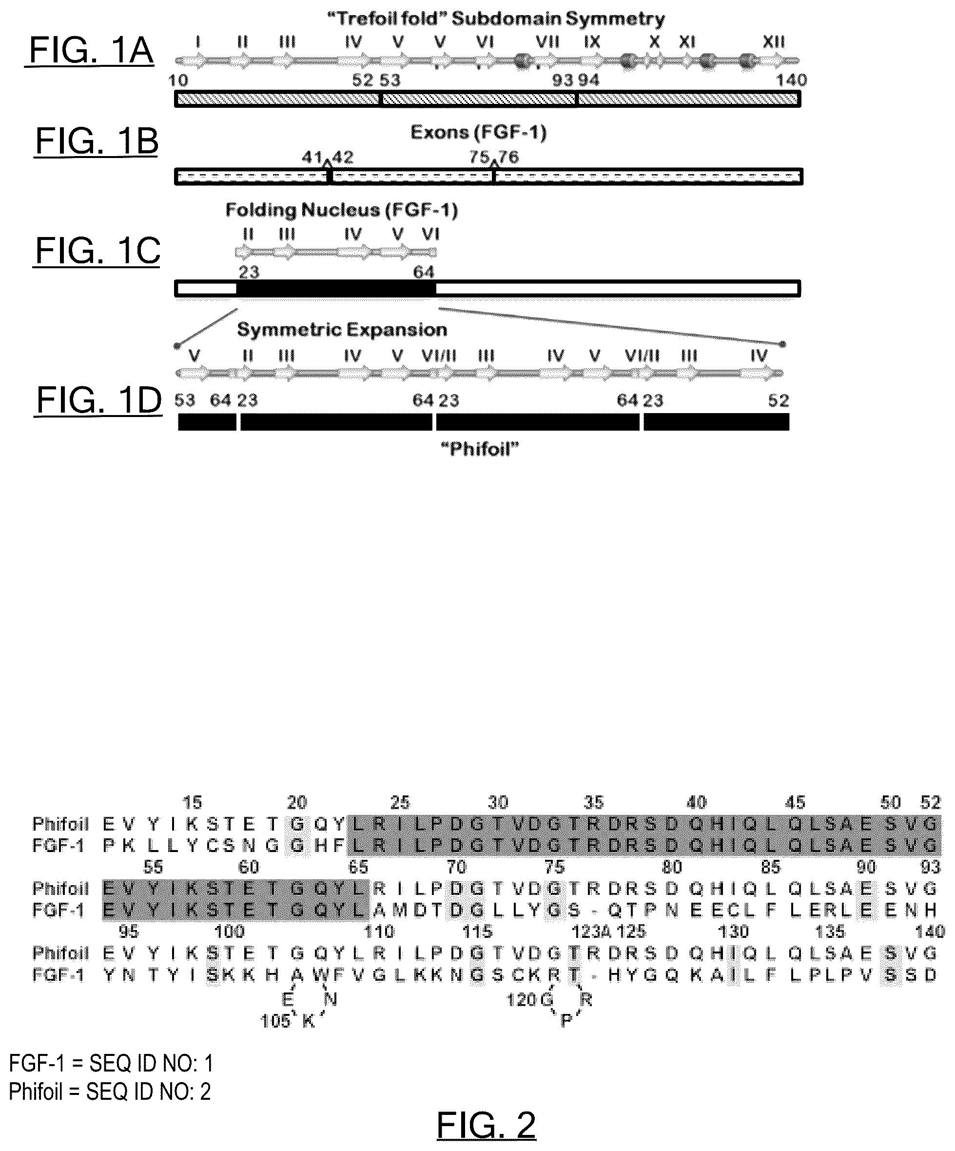 Patent US12583897 — Synthetic foldable proteins generated from peptide segments of folding nuclei of reference proteins — Figure 1
