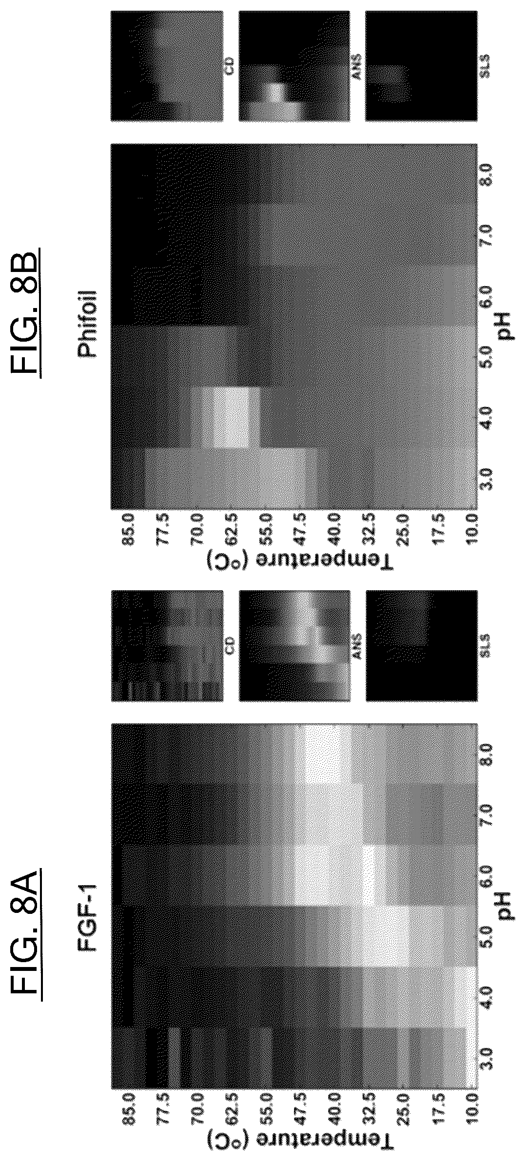 Patent US12583897 Figure 6 – Synthetic foldable proteins generated from peptide segments of folding nuclei of reference proteins