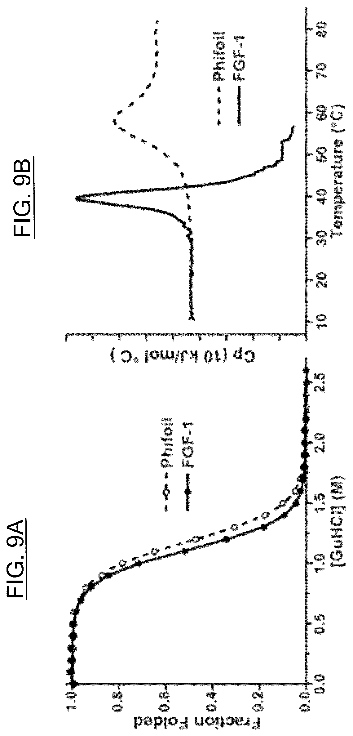 Patent US12583897 Figure 7 – Synthetic foldable proteins generated from peptide segments of folding nuclei of reference proteins