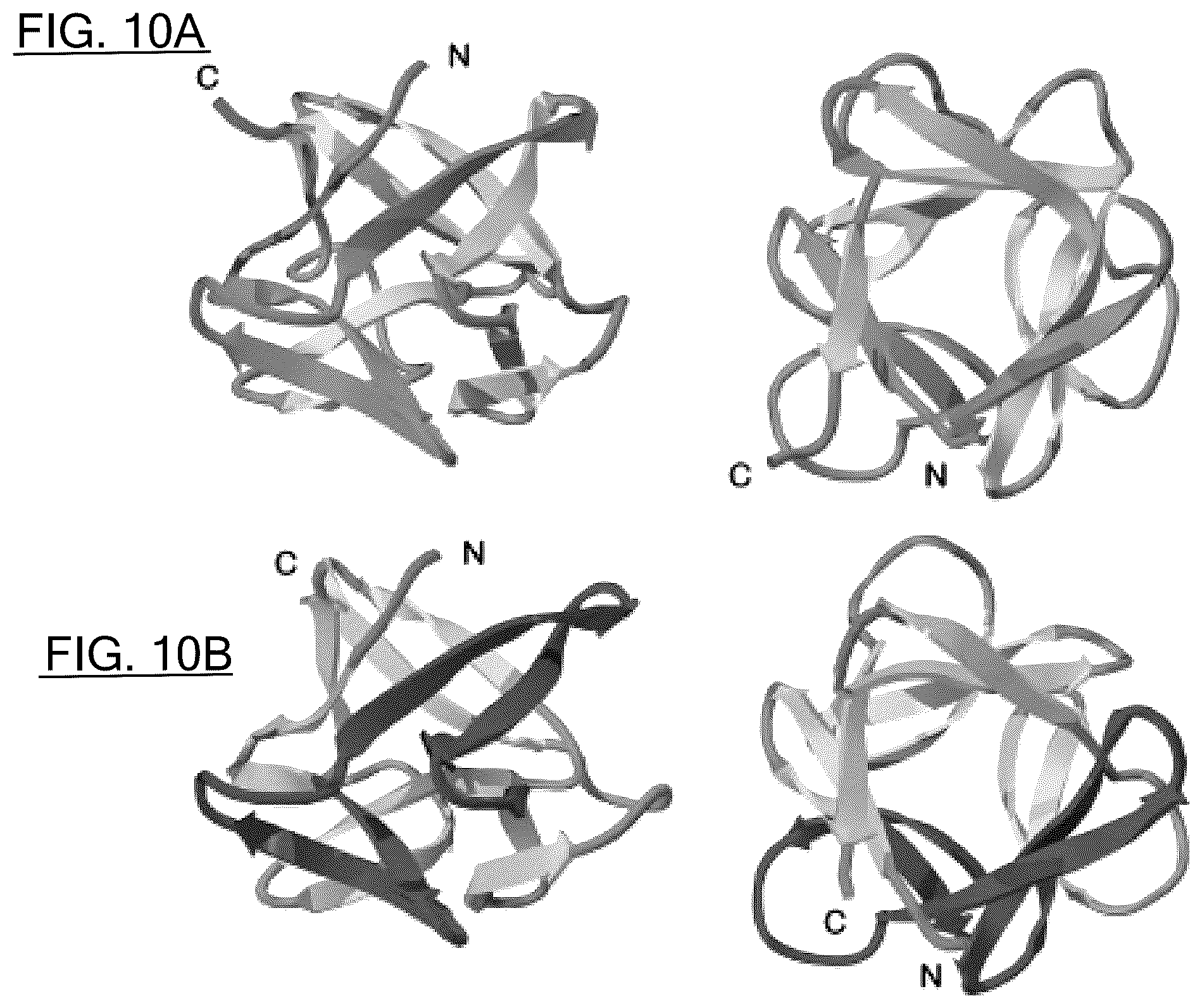 Patent US12583897 Figure 8 – Synthetic foldable proteins generated from peptide segments of folding nuclei of reference proteins