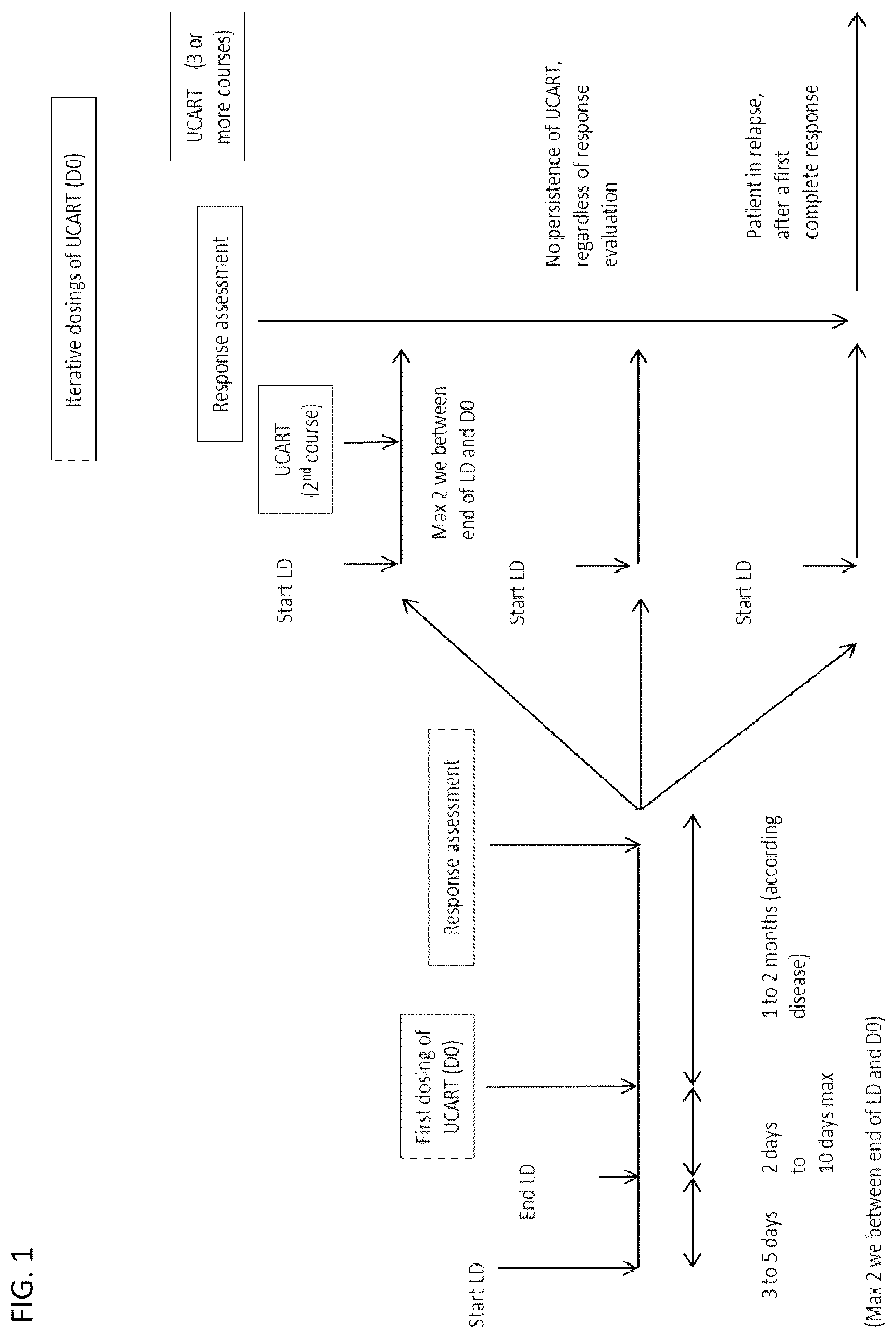 Patent US12583905 Figure 1 – Methods and compositions for dosing of allogeneic chimeric antigen receptor T cells