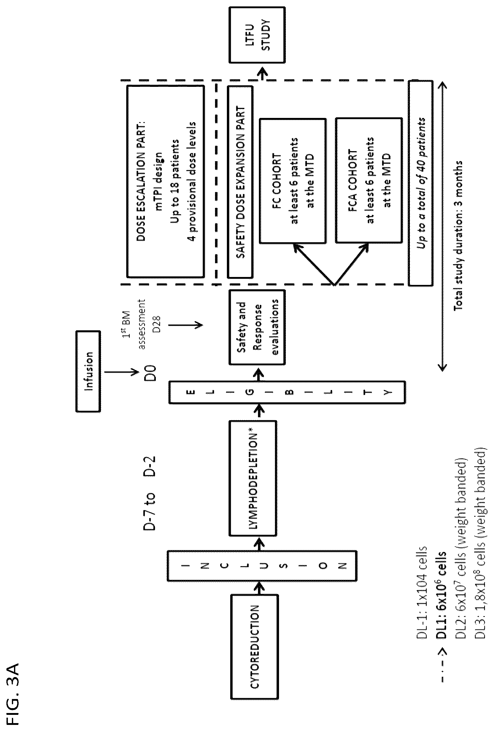 Patent US12583905 Figure 4 – Methods and compositions for dosing of allogeneic chimeric antigen receptor T cells