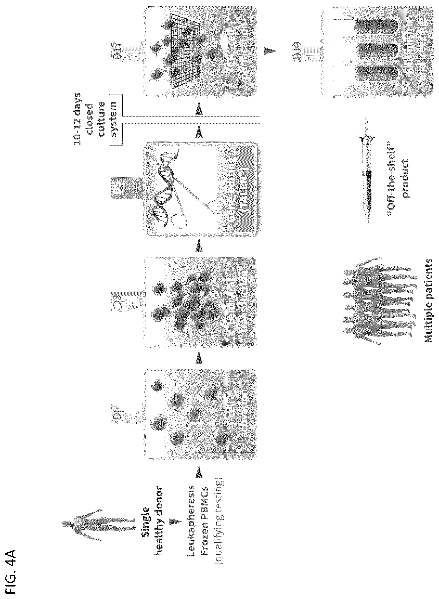 Patent US12583905 Figure 6 – Methods and compositions for dosing of allogeneic chimeric antigen receptor T cells