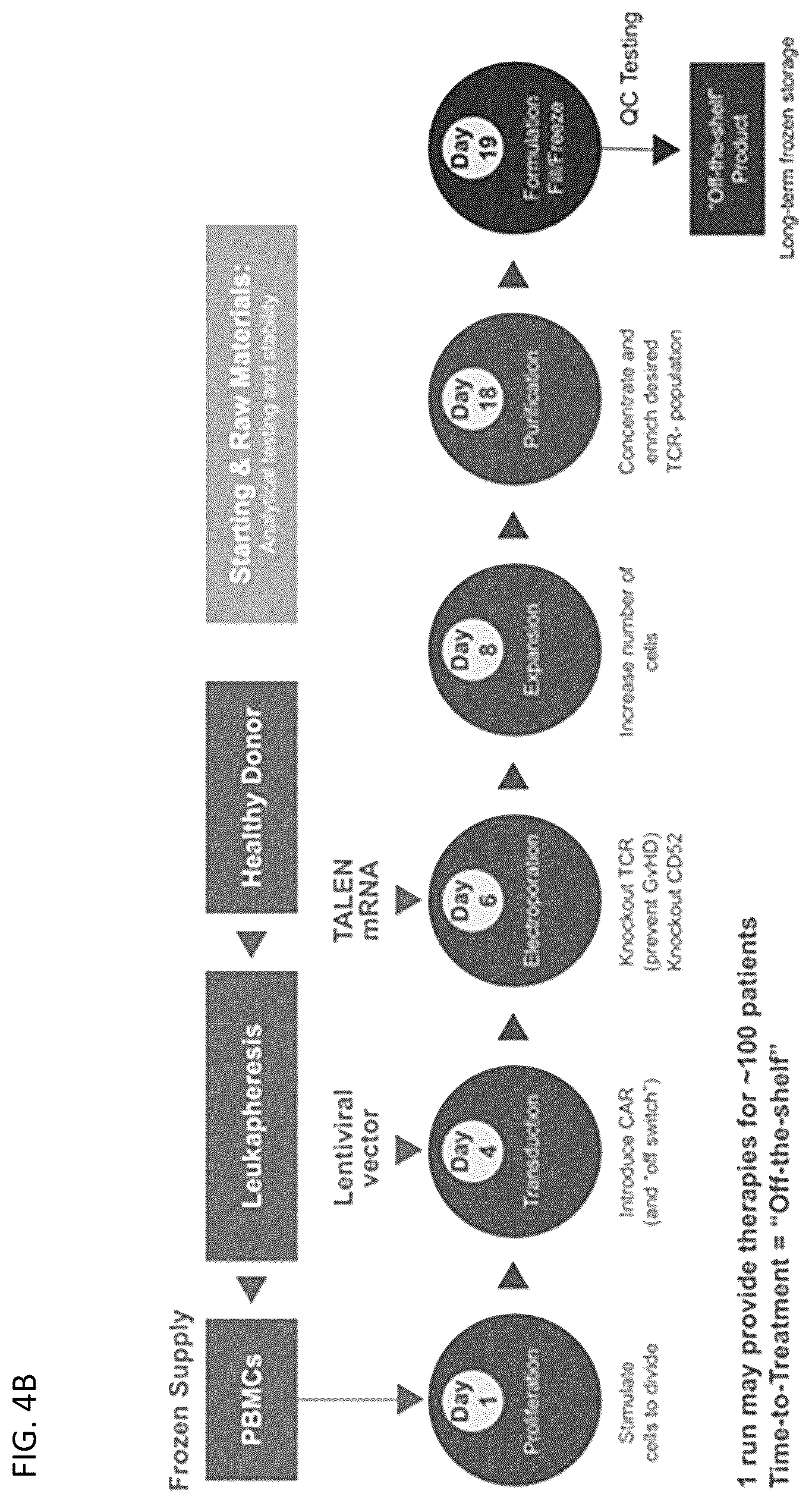 Patent US12583905 Figure 7 – Methods and compositions for dosing of allogeneic chimeric antigen receptor T cells