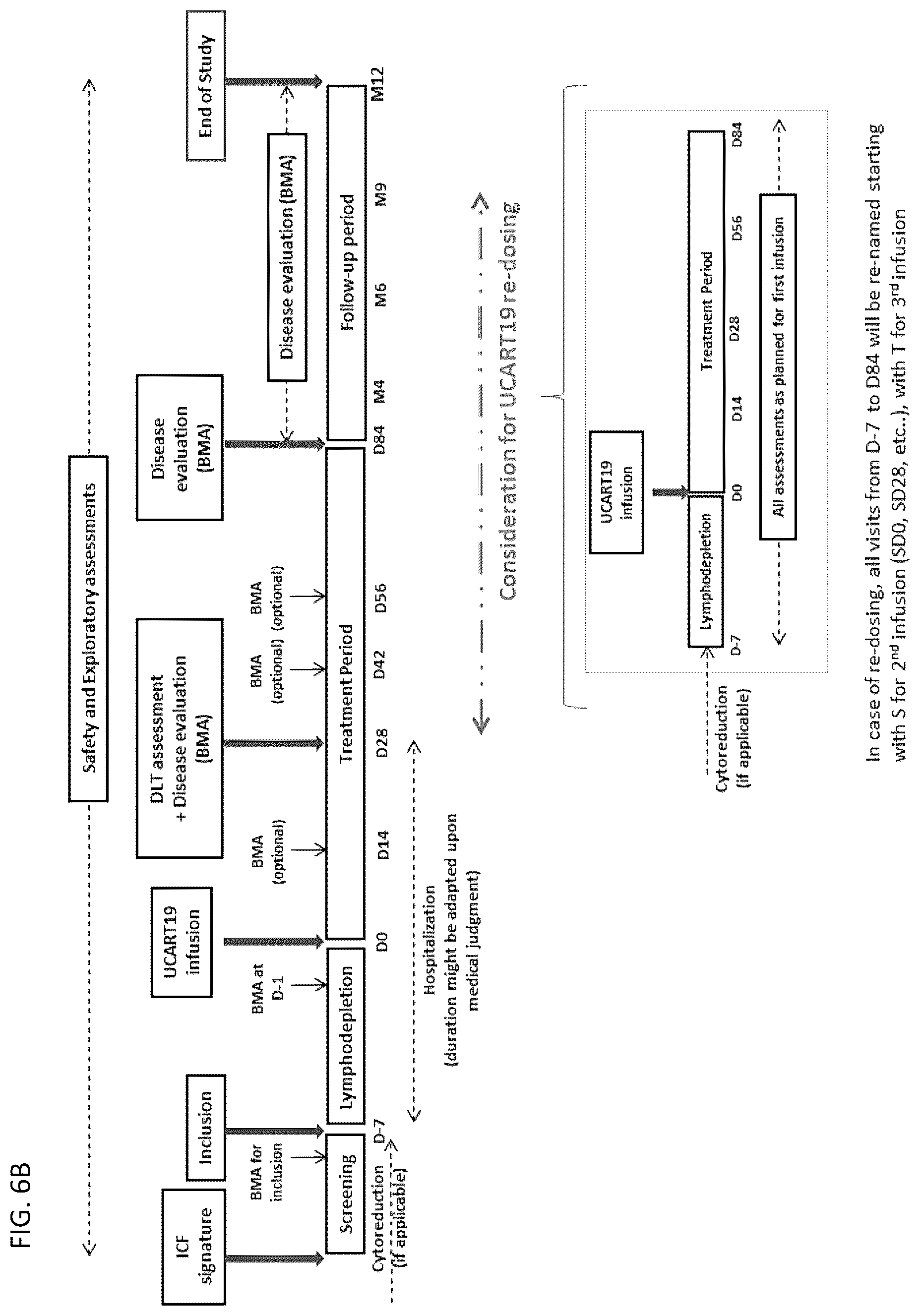 Patent US12583905 Figure 10 – Methods and compositions for dosing of allogeneic chimeric antigen receptor T cells