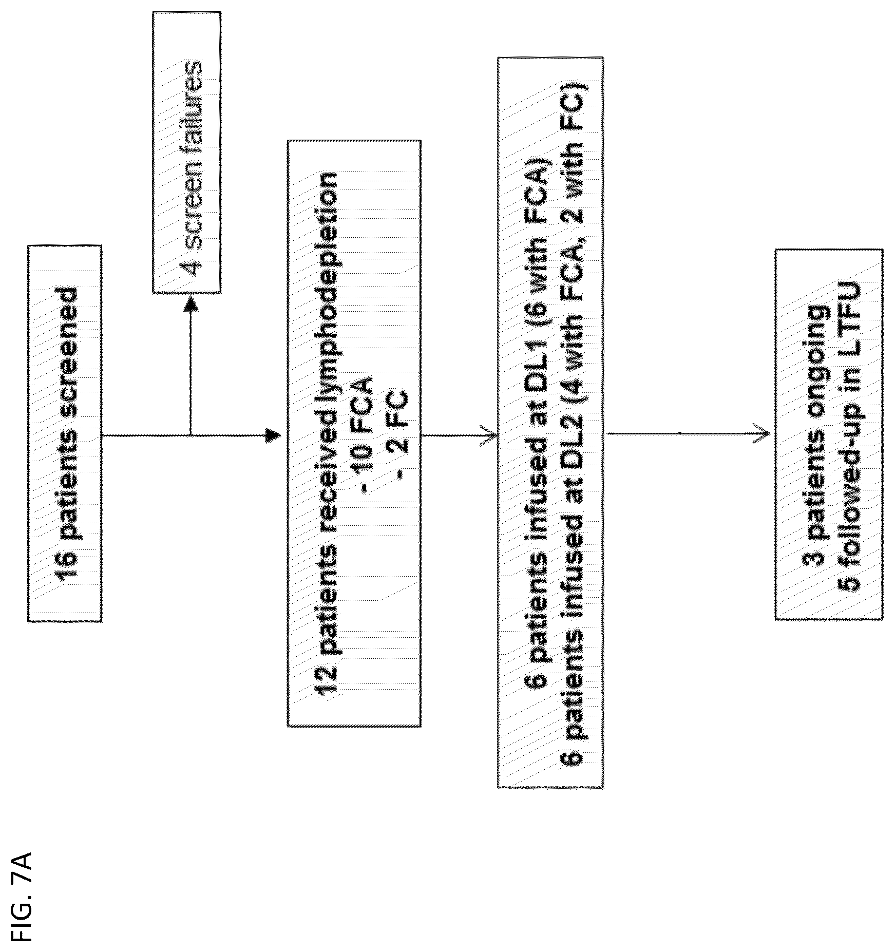 Patent US12583905 Figure 11 – Methods and compositions for dosing of allogeneic chimeric antigen receptor T cells