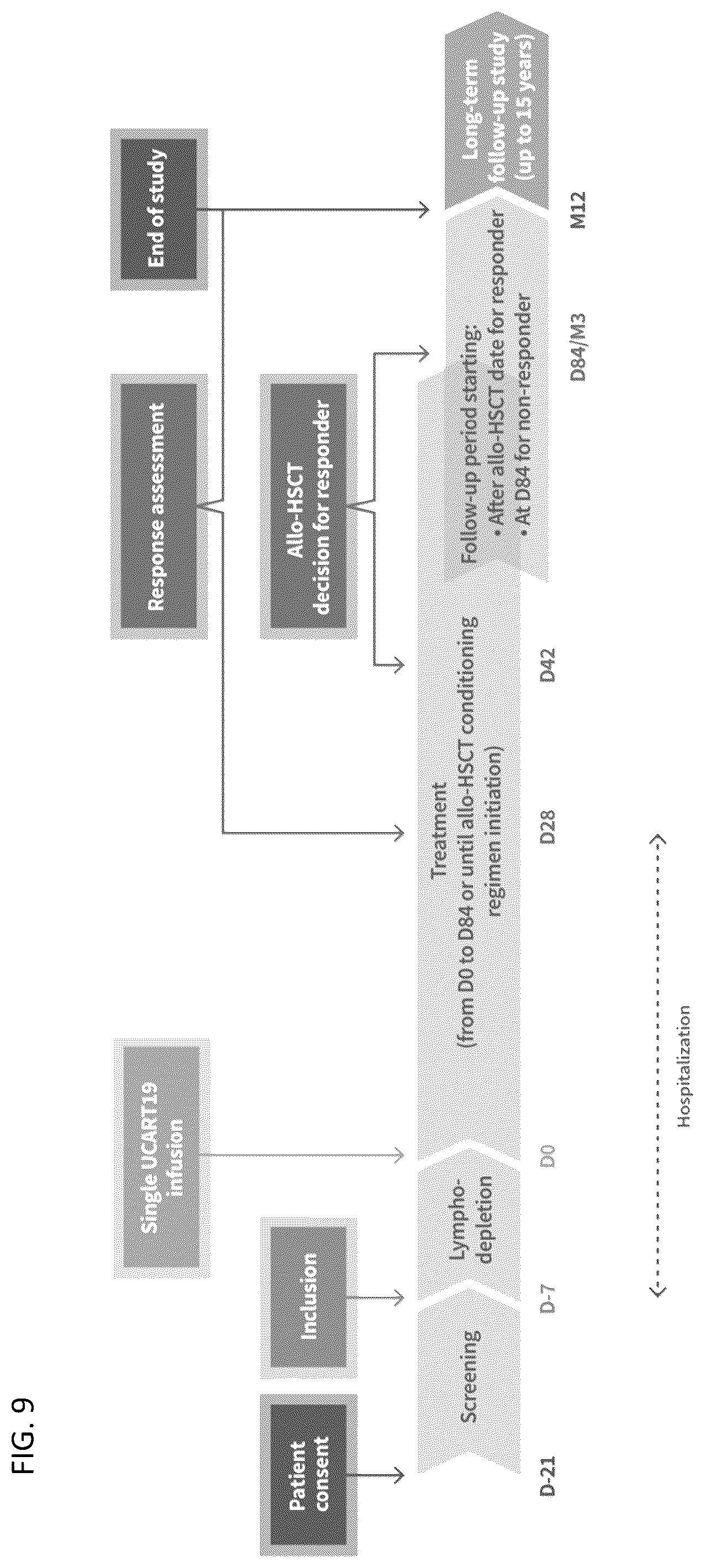 Patent US12583905 Figure 15 – Methods and compositions for dosing of allogeneic chimeric antigen receptor T cells