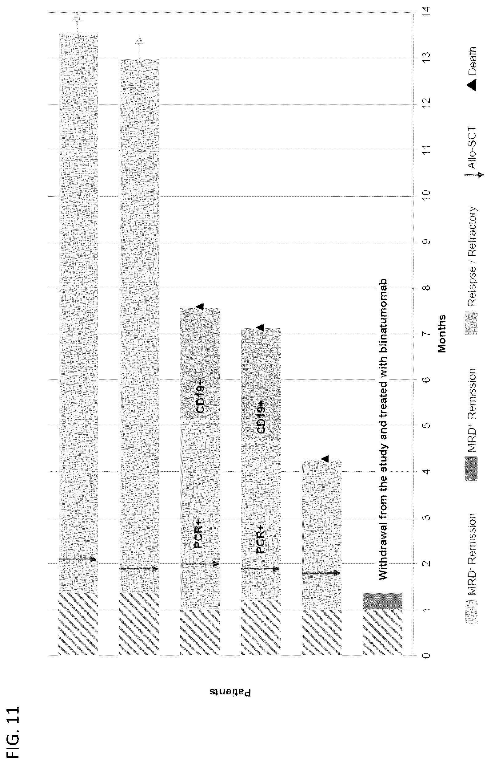Patent US12583905 Figure 17 – Methods and compositions for dosing of allogeneic chimeric antigen receptor T cells