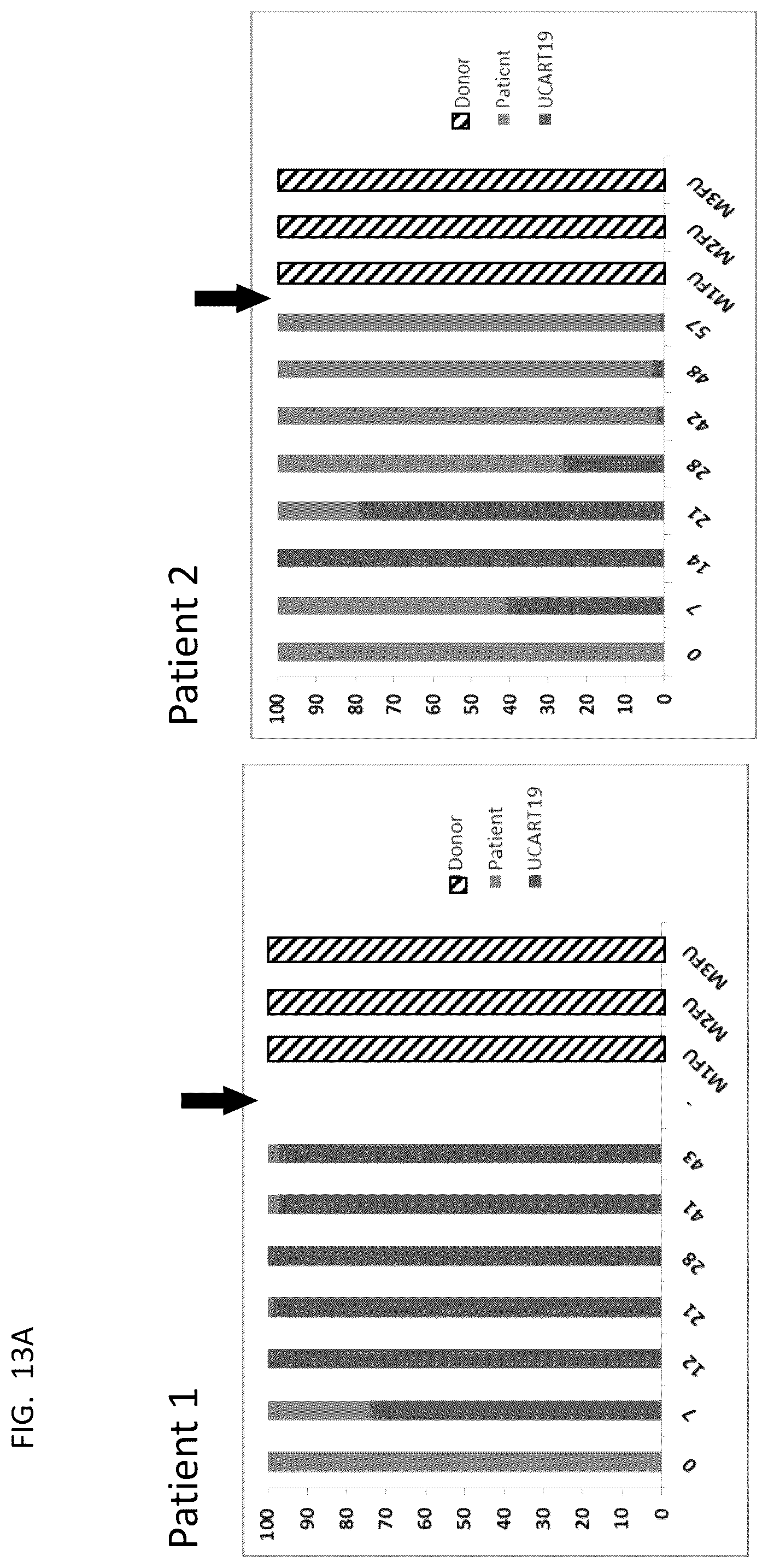 Patent US12583905 Figure 19 – Methods and compositions for dosing of allogeneic chimeric antigen receptor T cells