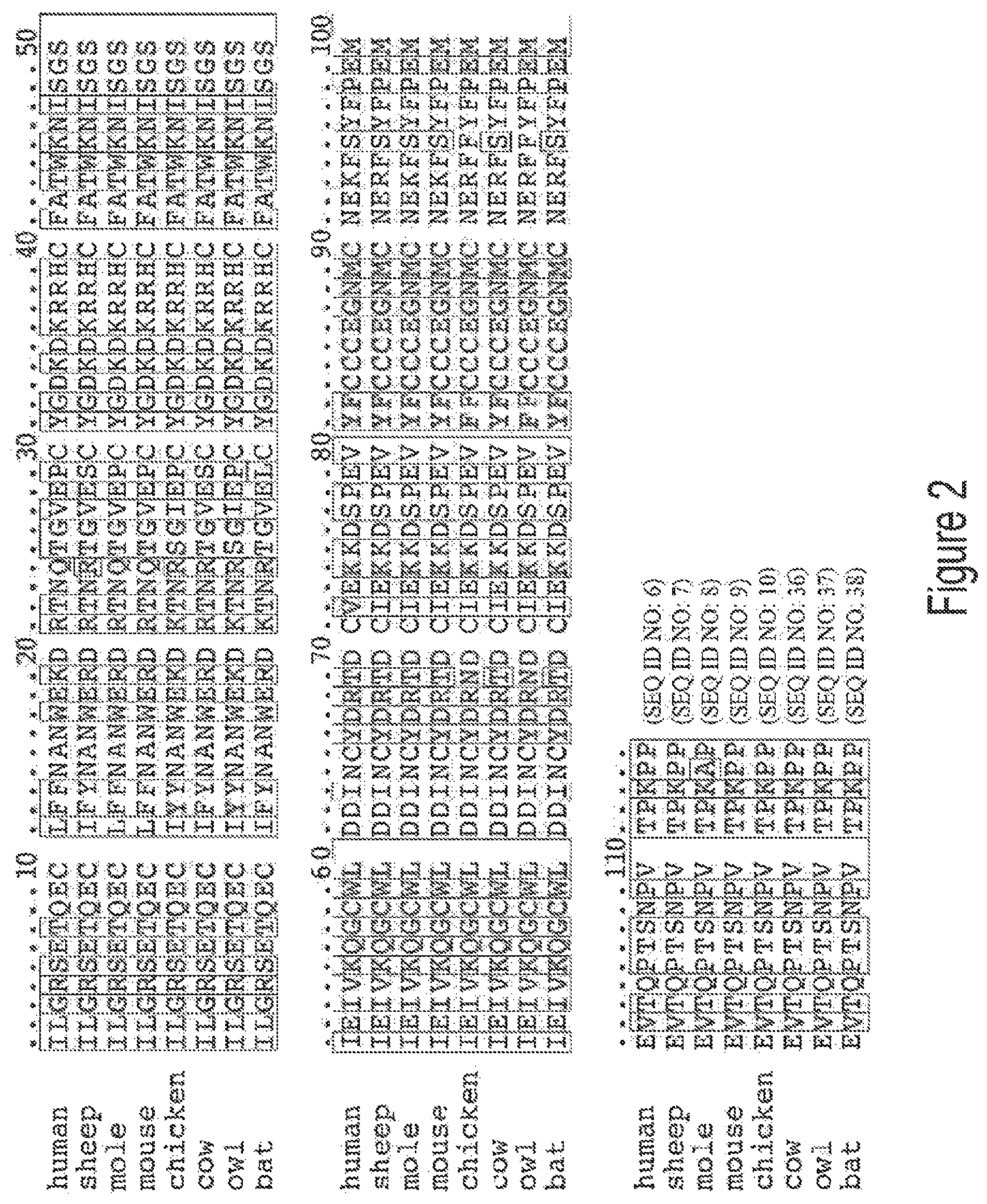 Patent US12583906 Figure 2 – Actrii proteins and use in treating post-capillary pulmonary hypertension