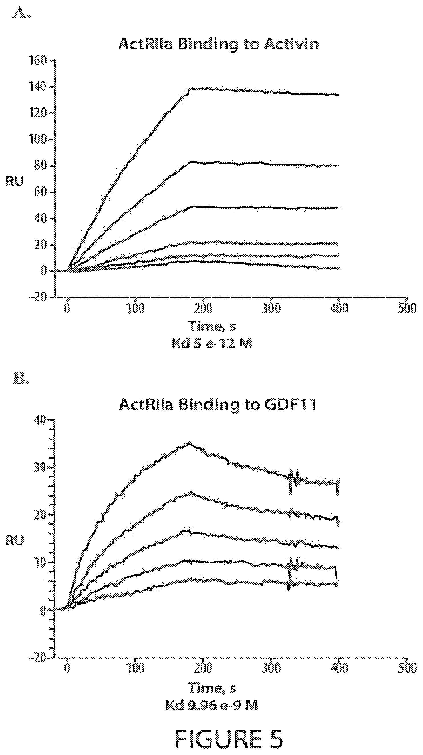 Patent US12583906 Figure 5 – Actrii proteins and use in treating post-capillary pulmonary hypertension