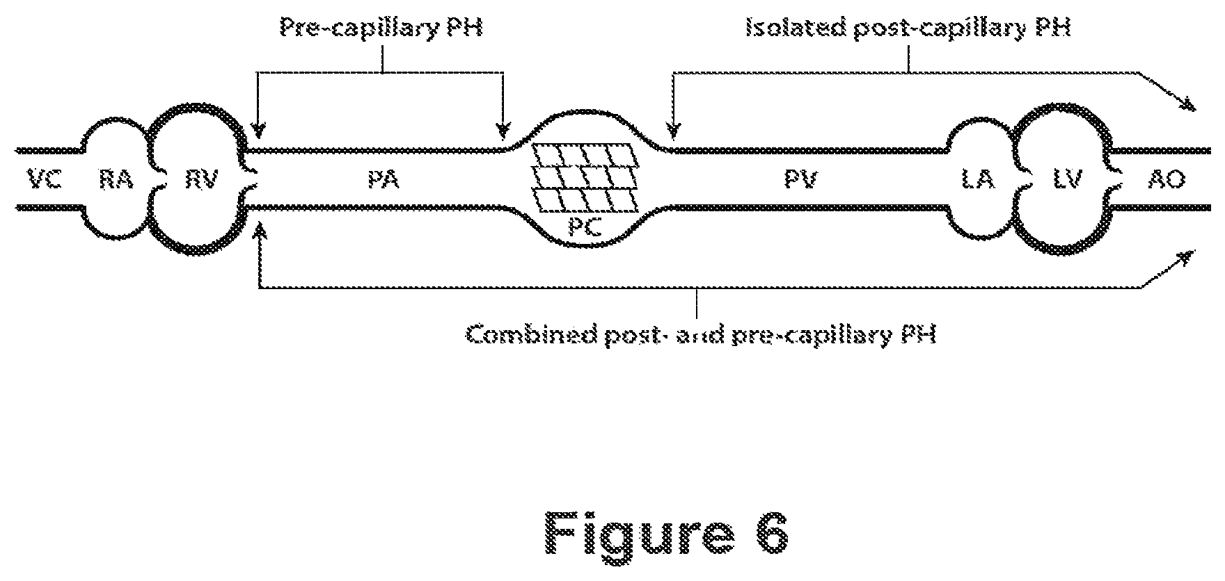 Patent US12583906 Figure 6 – Actrii proteins and use in treating post-capillary pulmonary hypertension