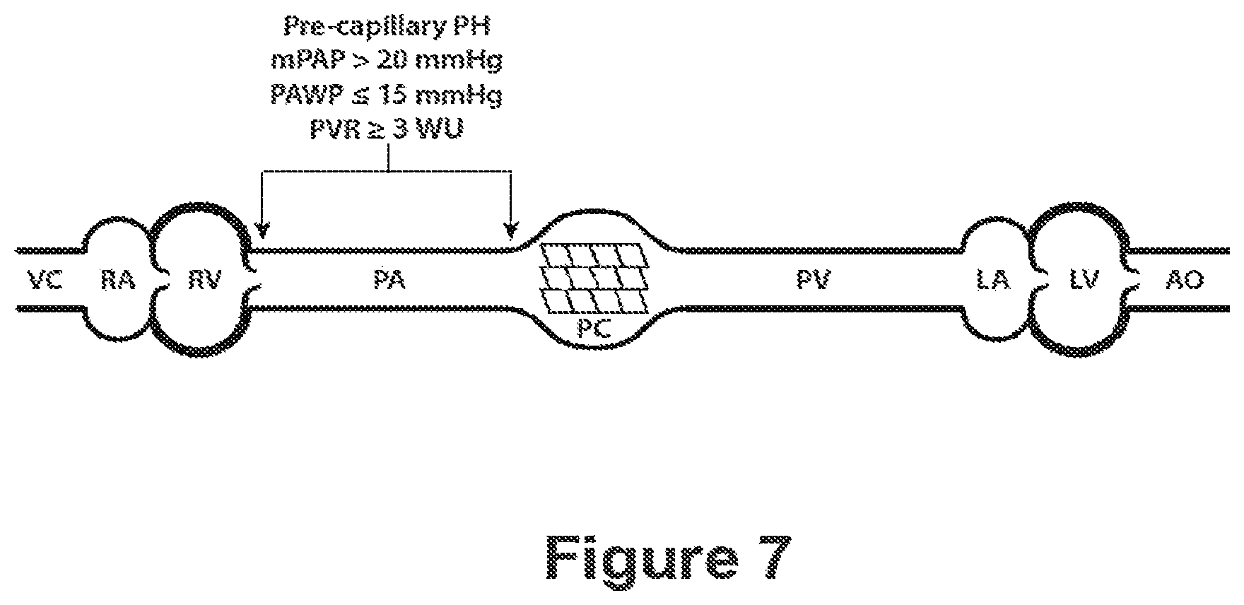 Patent US12583906 Figure 7 – Actrii proteins and use in treating post-capillary pulmonary hypertension