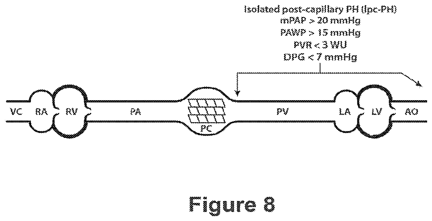 Patent US12583906 Figure 8 – Actrii proteins and use in treating post-capillary pulmonary hypertension
