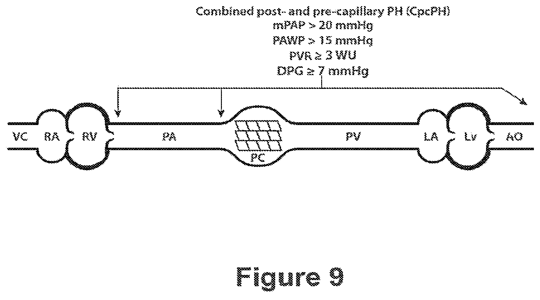 Patent US12583906 Figure 9 – Actrii proteins and use in treating post-capillary pulmonary hypertension
