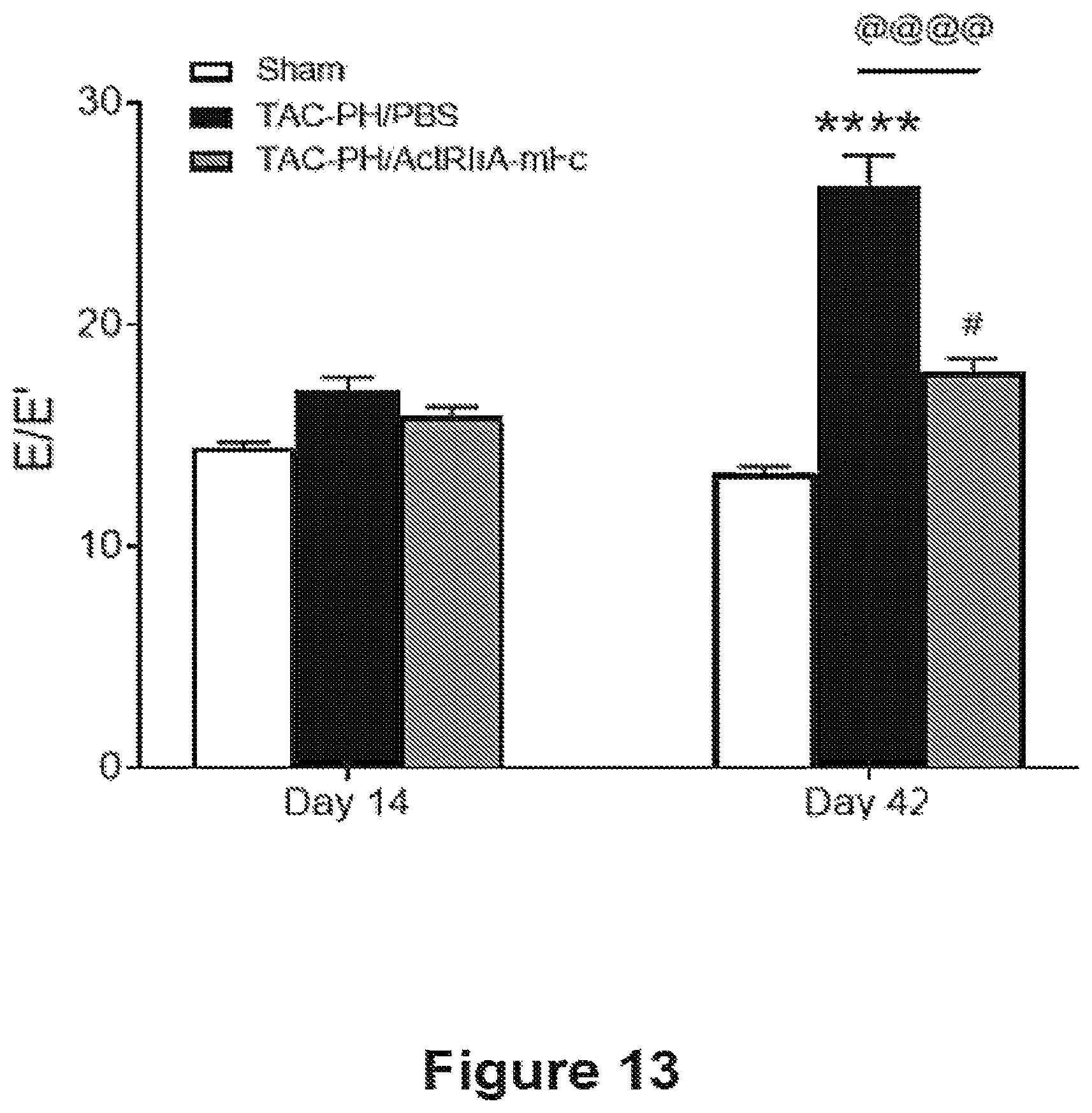 Patent US12583906 Figure 13 – Actrii proteins and use in treating post-capillary pulmonary hypertension