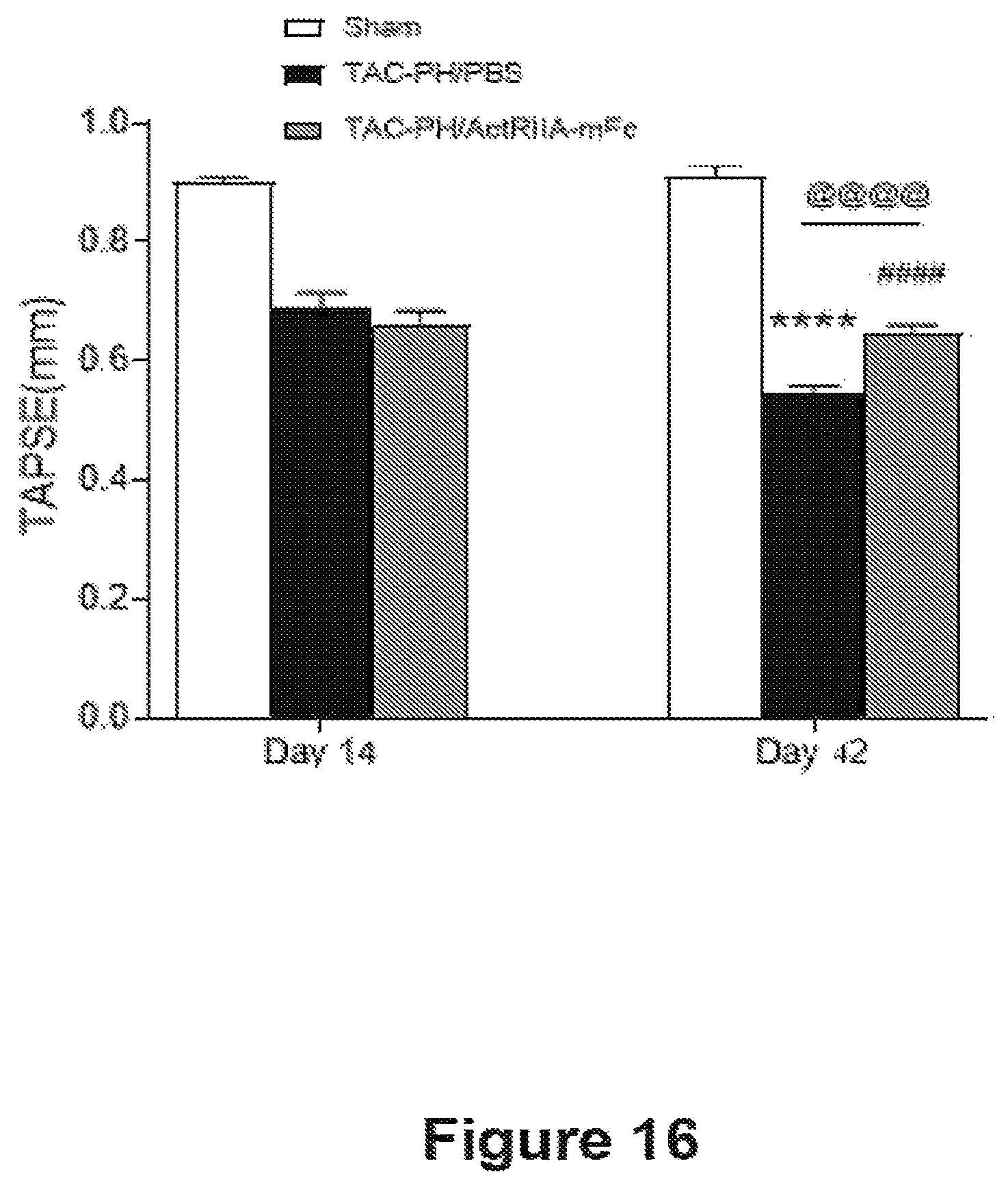 Patent US12583906 Figure 16 – Actrii proteins and use in treating post-capillary pulmonary hypertension