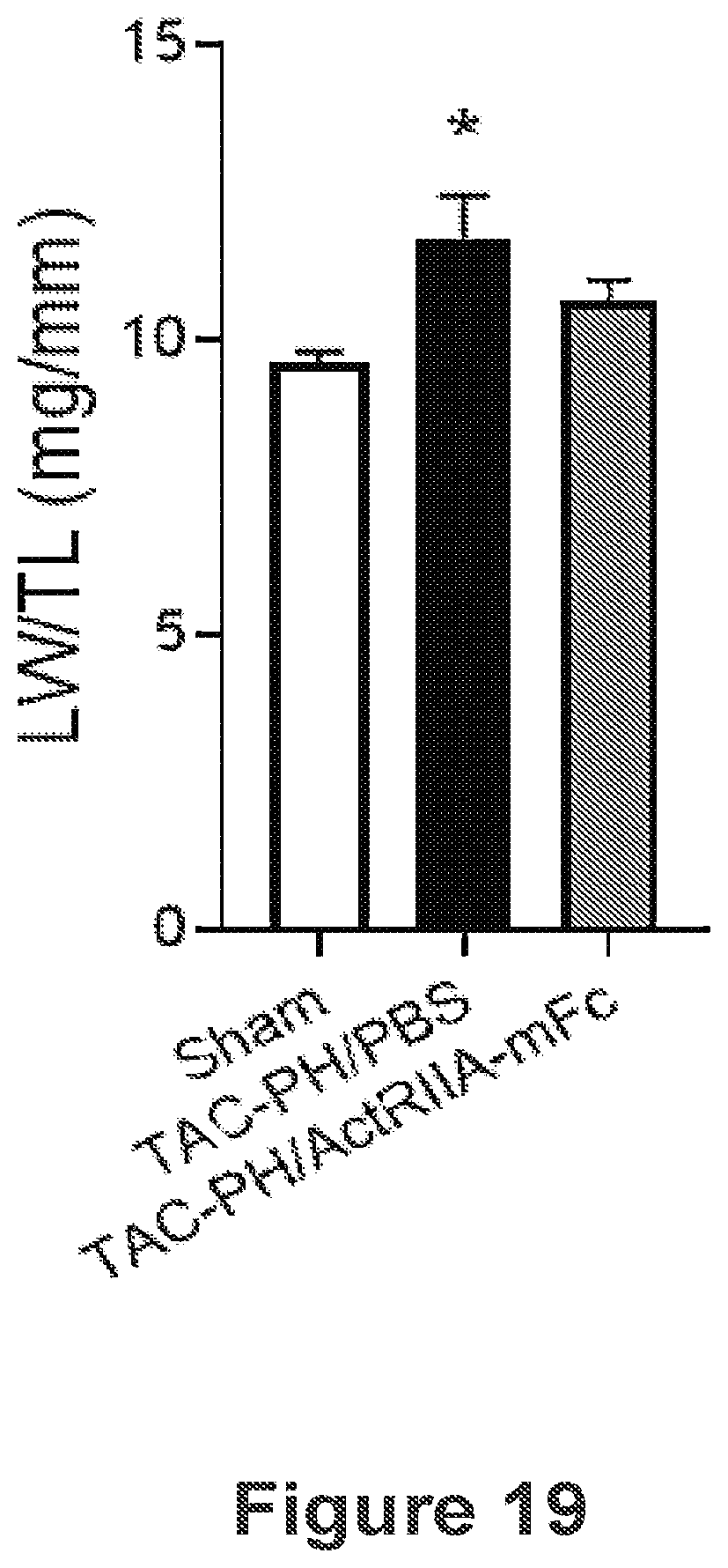 Patent US12583906 Figure 19 – Actrii proteins and use in treating post-capillary pulmonary hypertension