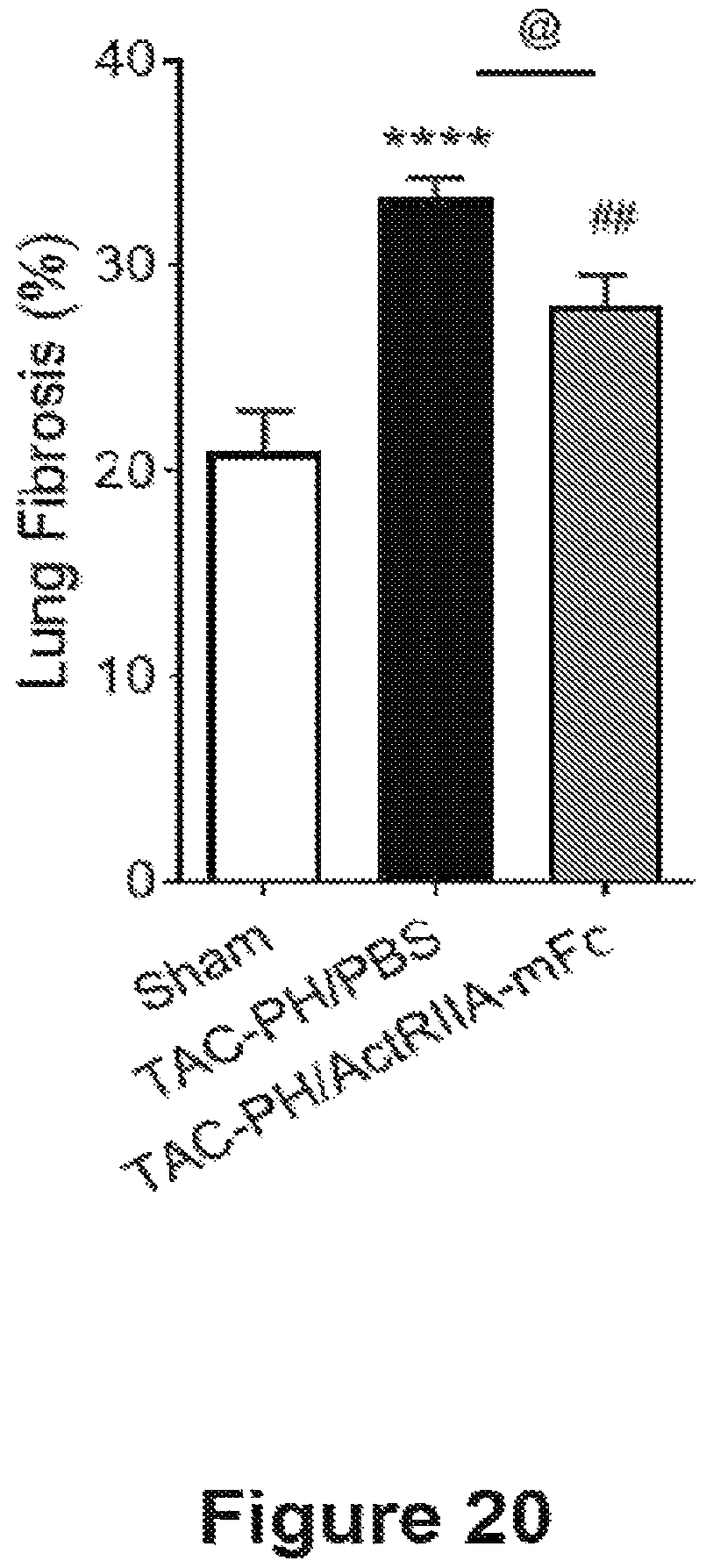 Patent US12583906 Figure 20 – Actrii proteins and use in treating post-capillary pulmonary hypertension