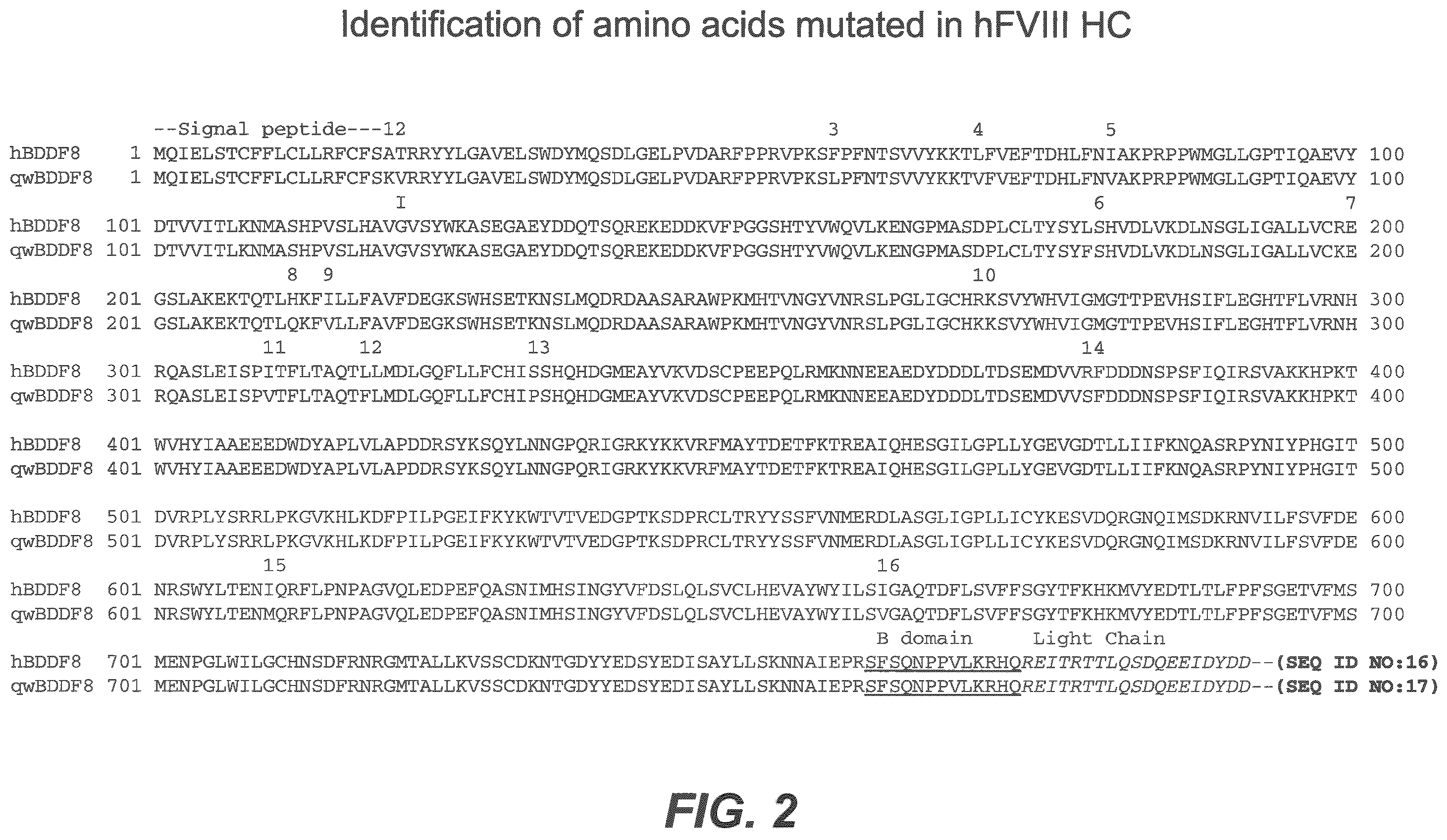 Patent US12583907 Figure 2 – Modified plasma clotting factor VIII and method of use thereof