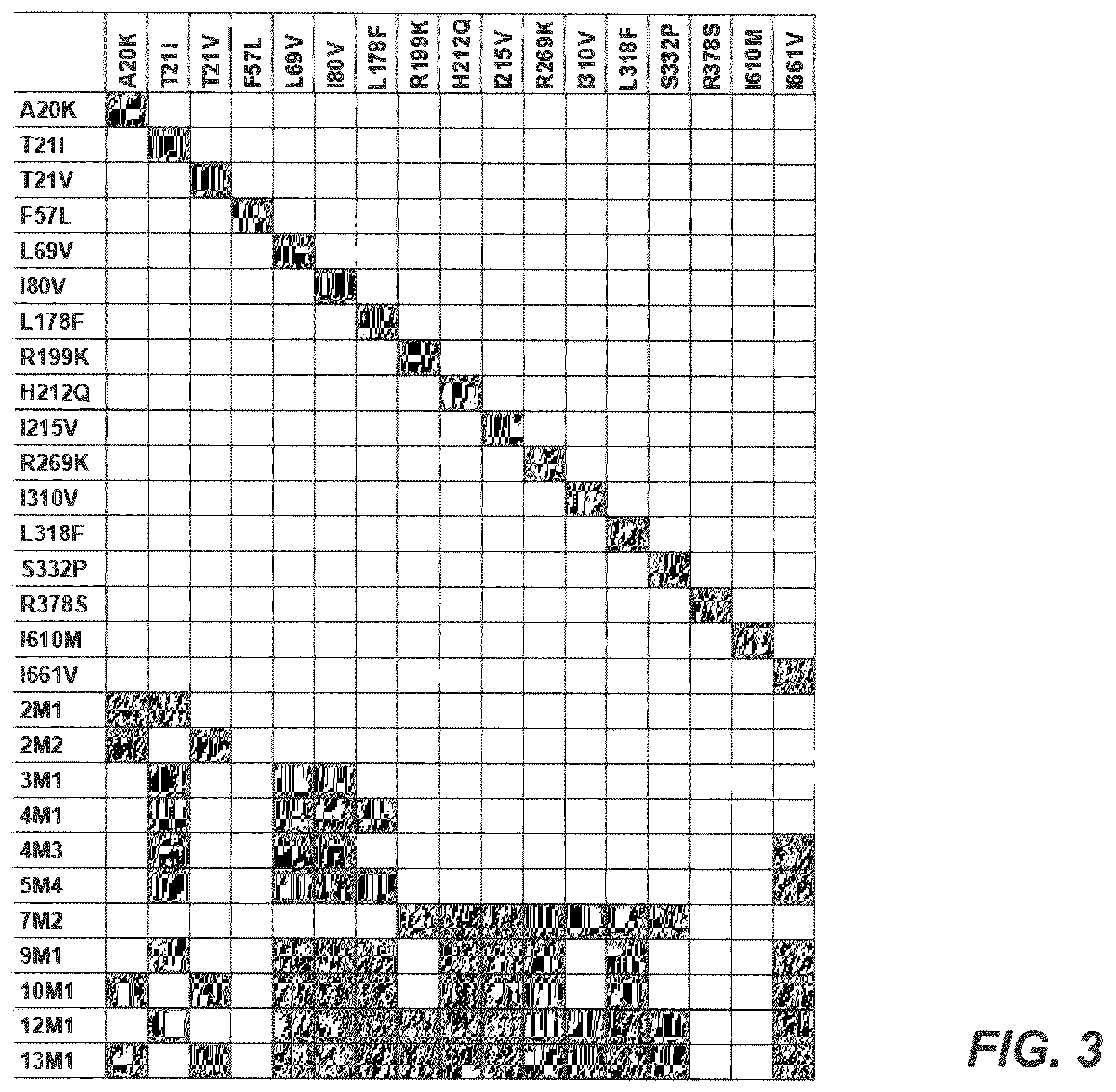 Patent US12583907 Figure 3 – Modified plasma clotting factor VIII and method of use thereof