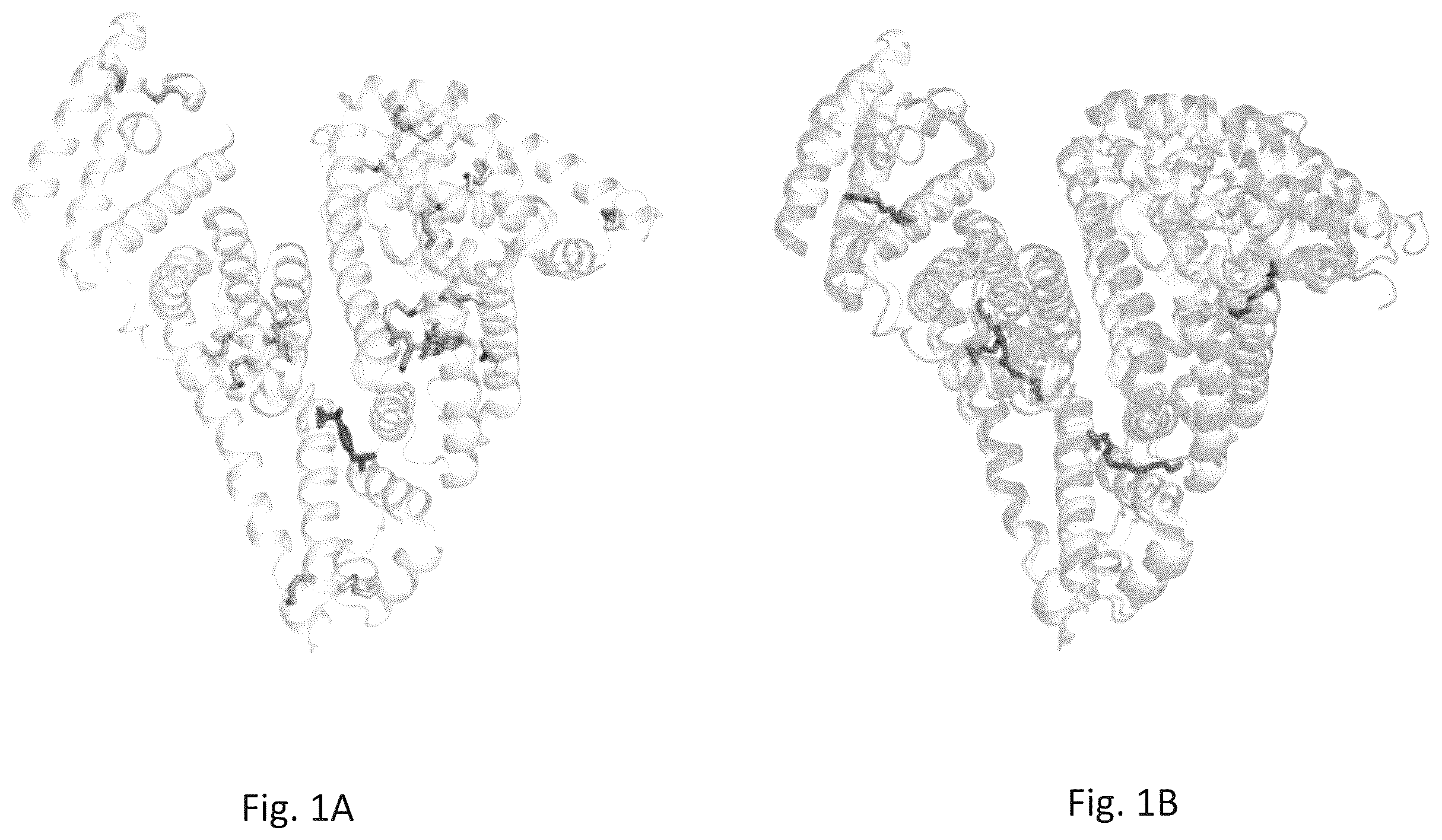 Patent US12583908 Figure 1 – Albumin protein variants, production thereof and uses of same