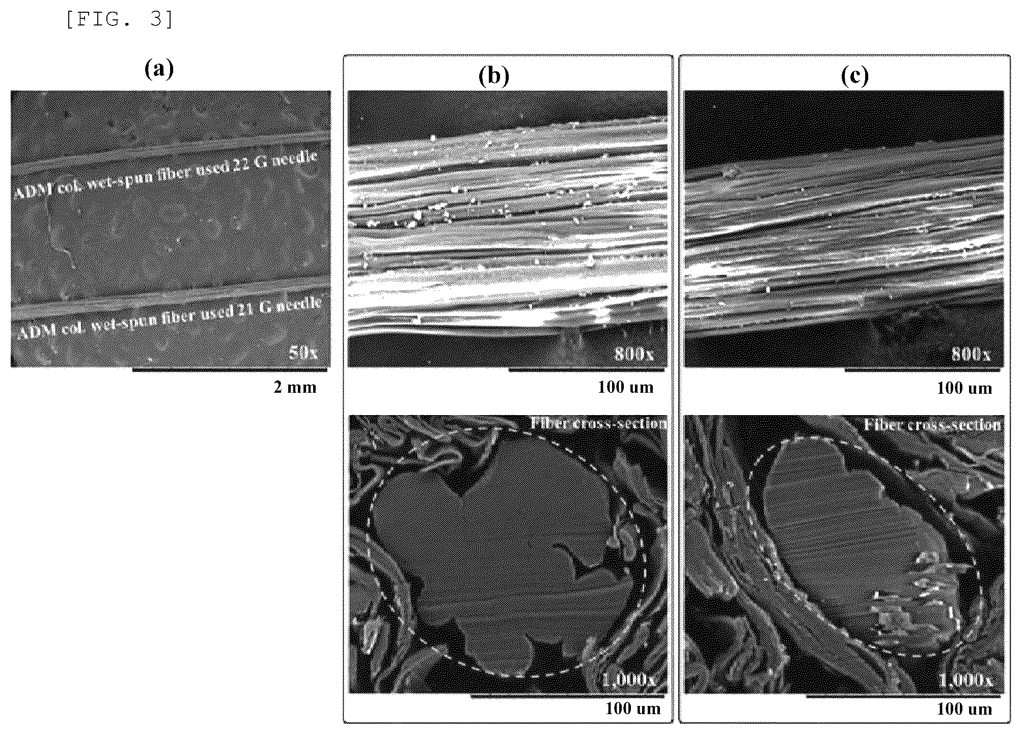 Patent US12583909 Figure 2 – Method of producing ADM collagen fiber, ADM collagen fiber produced using method, and apparatus for producing ADM collagen fiber