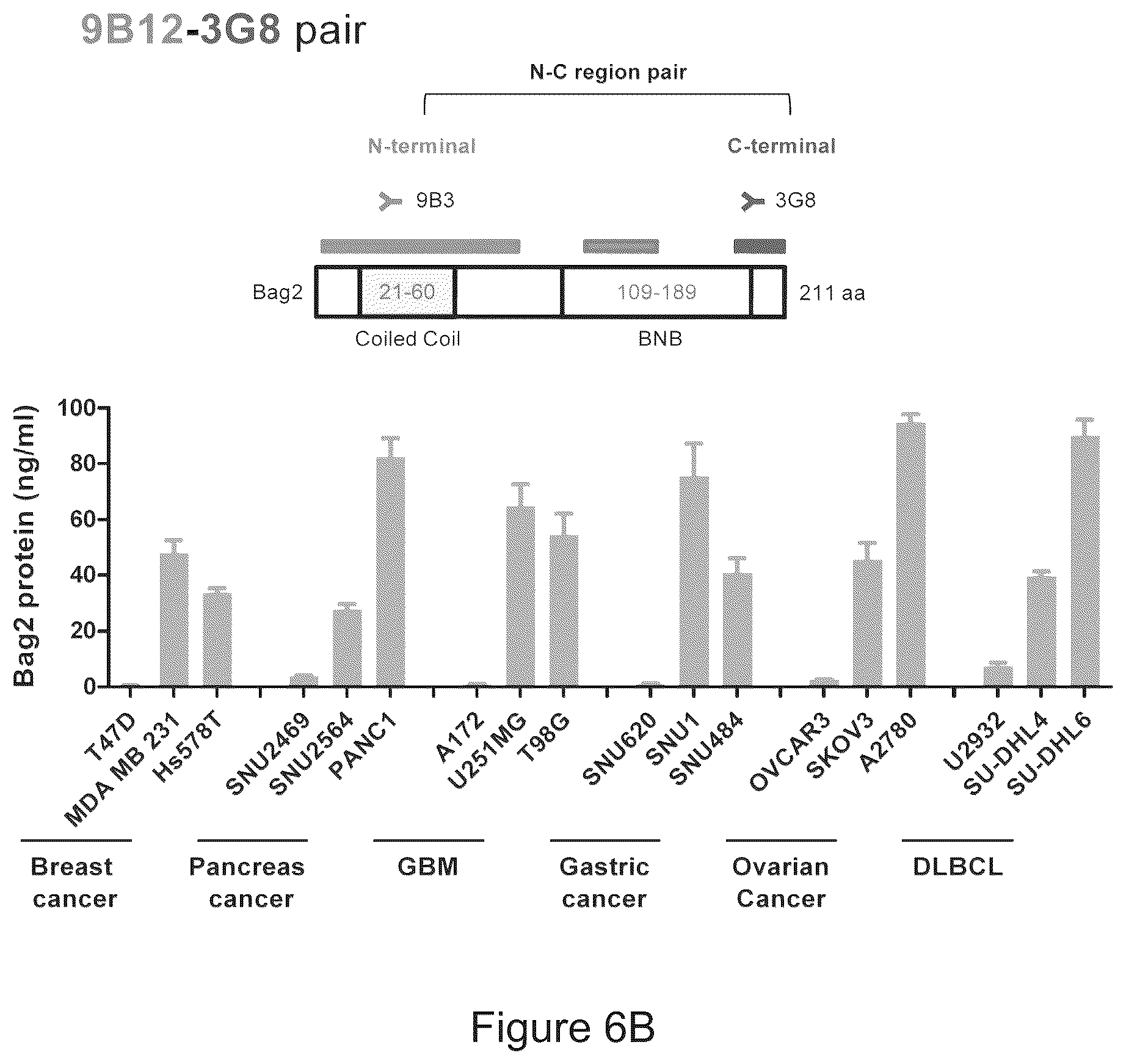 Patent US12583915 Figure 8 – Methods for diagnosing cancer using anti-BAG2 antibody