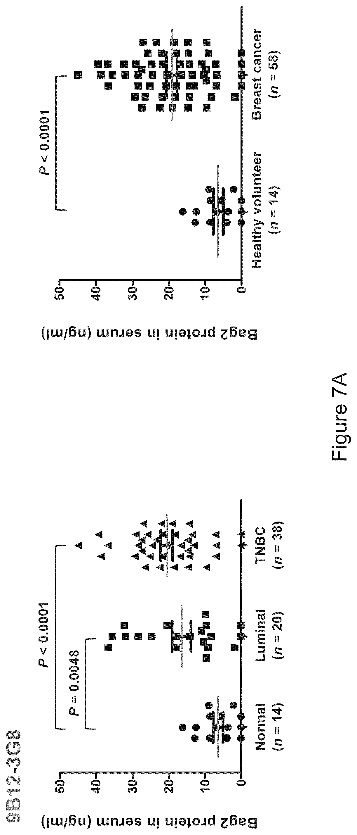 Patent US12583915 Figure 9 – Methods for diagnosing cancer using anti-BAG2 antibody
