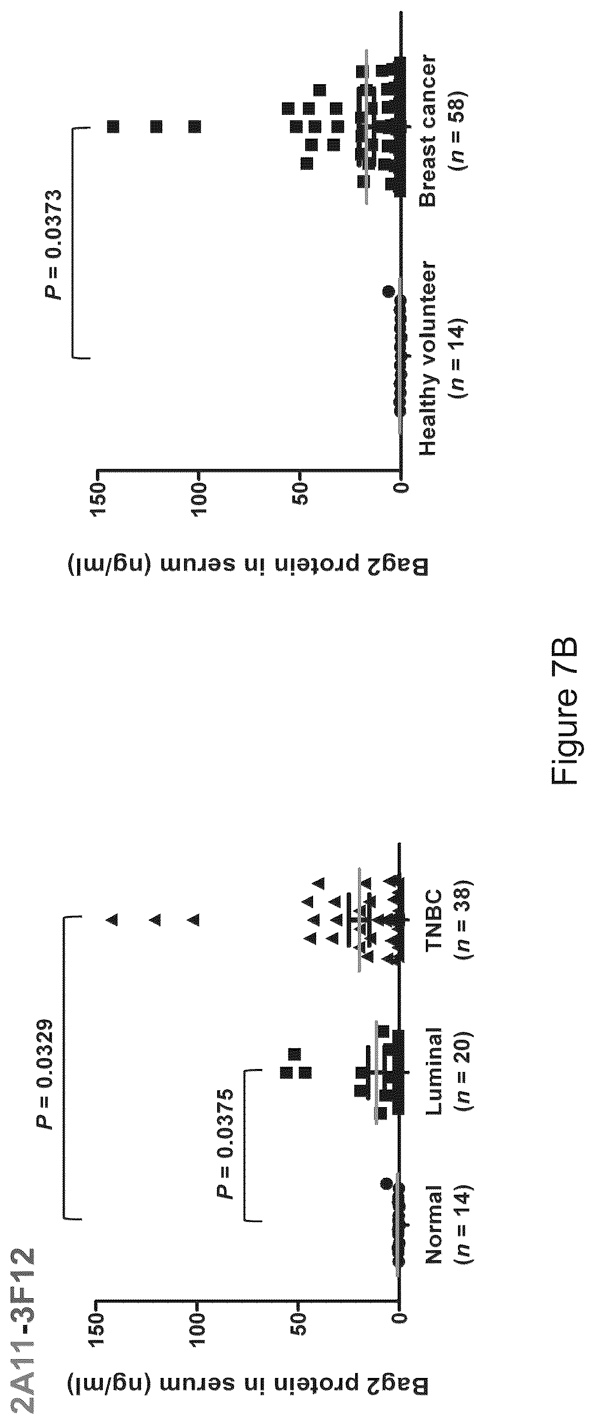 Patent US12583915 Figure 10 – Methods for diagnosing cancer using anti-BAG2 antibody