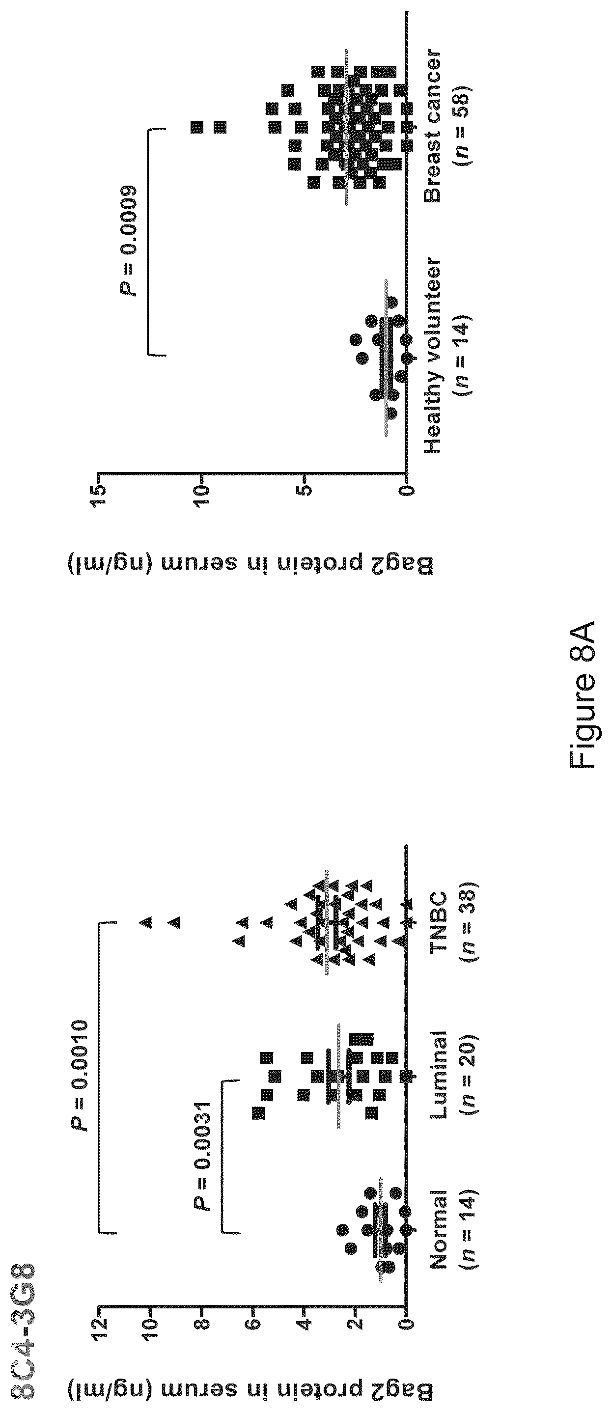 Patent US12583915 Figure 11 – Methods for diagnosing cancer using anti-BAG2 antibody