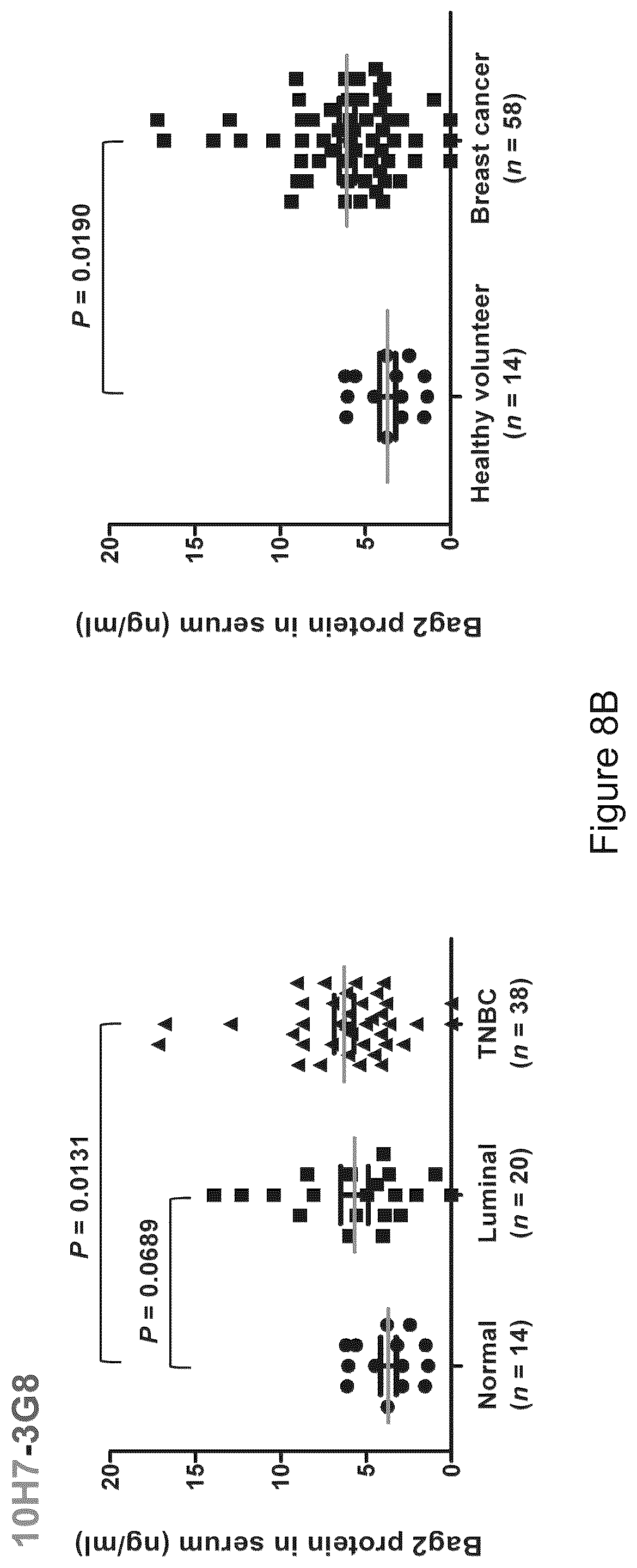 Patent US12583915 Figure 12 – Methods for diagnosing cancer using anti-BAG2 antibody