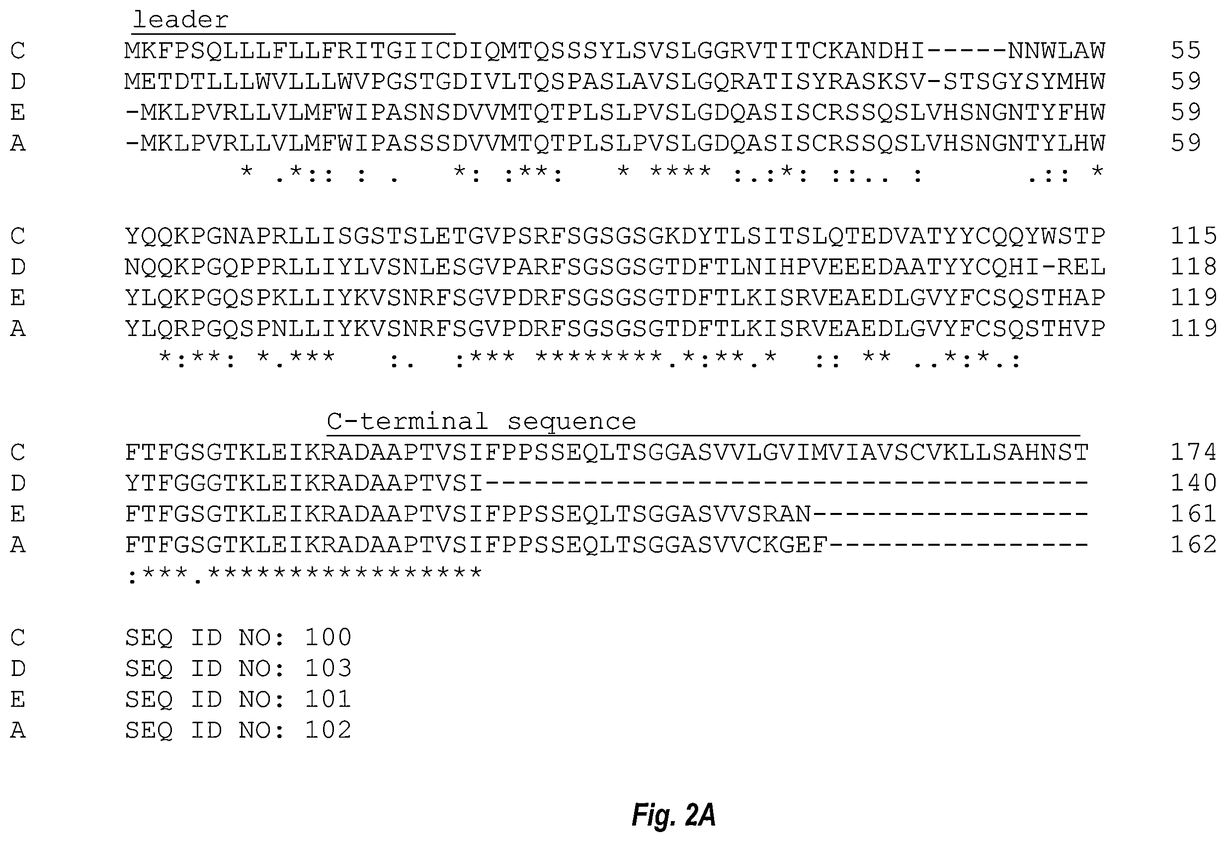 Patent US12583917 Figure 2 – IL17A antibodies and antagonists for veterinary use