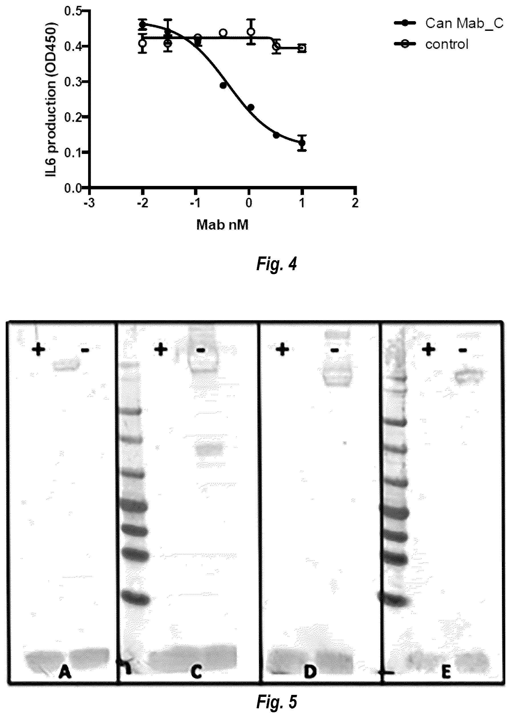 Patent US12583917 Figure 6 – IL17A antibodies and antagonists for veterinary use