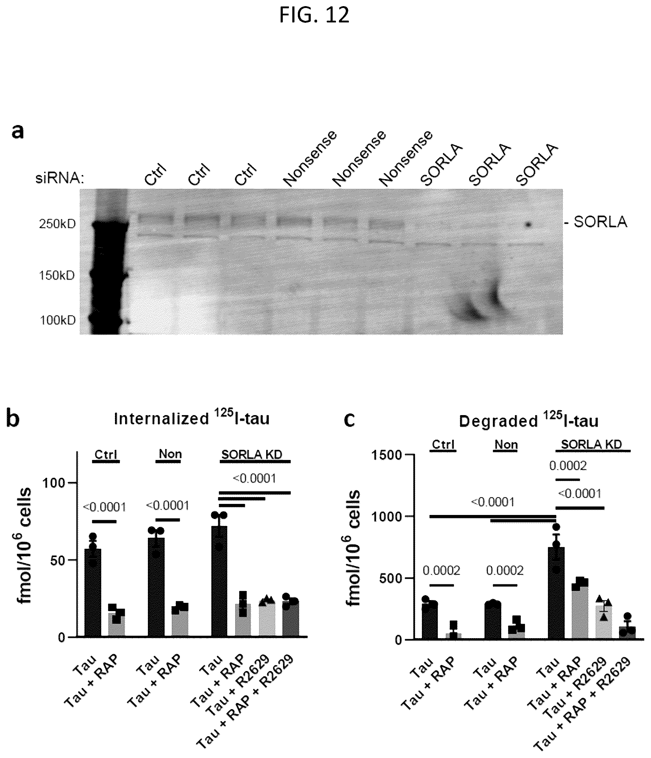 Patent US12583920 Figure 13 – Compositions and methods for treatment and prevention of Alzheimer's disease