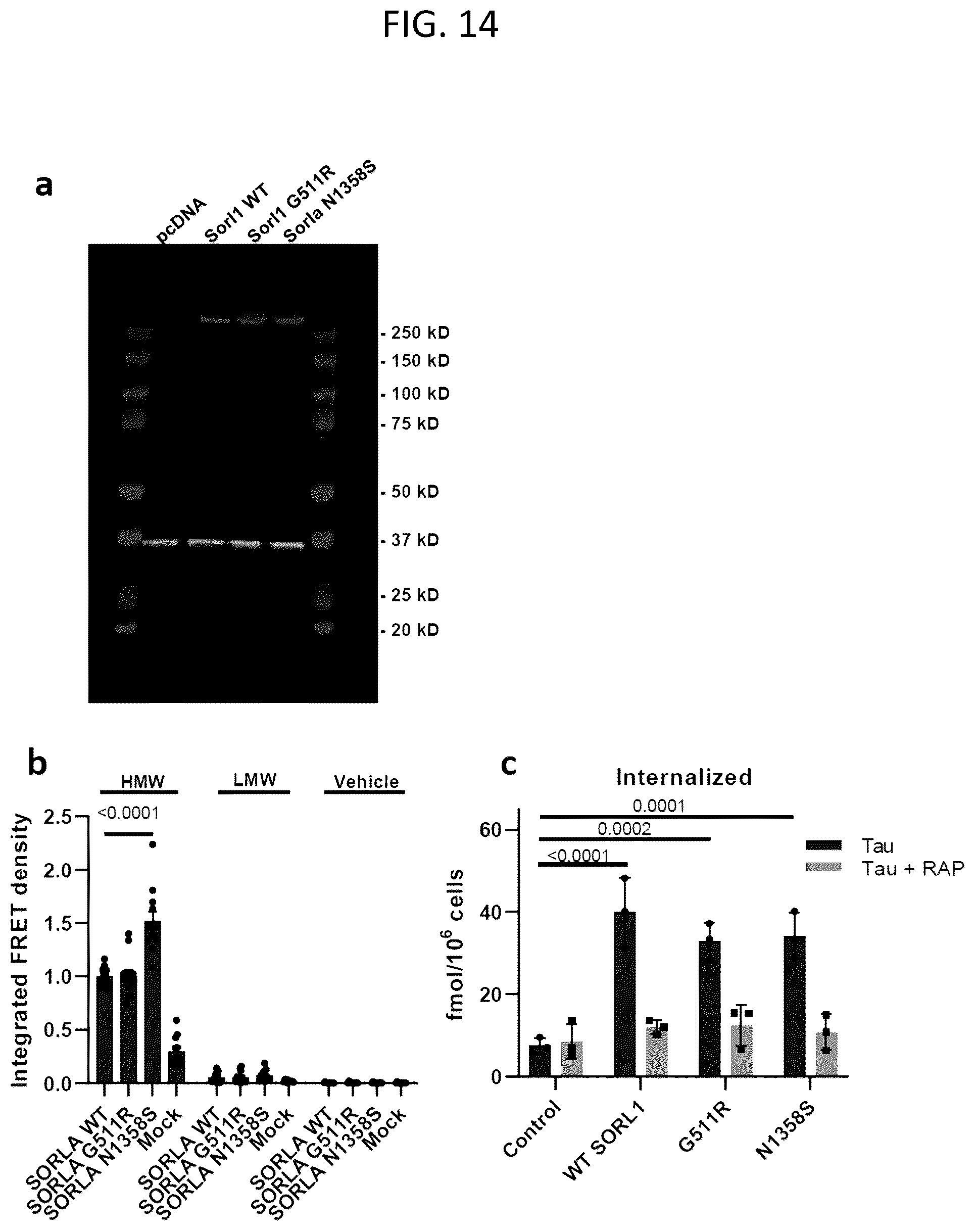 Patent US12583920 Figure 15 – Compositions and methods for treatment and prevention of Alzheimer's disease
