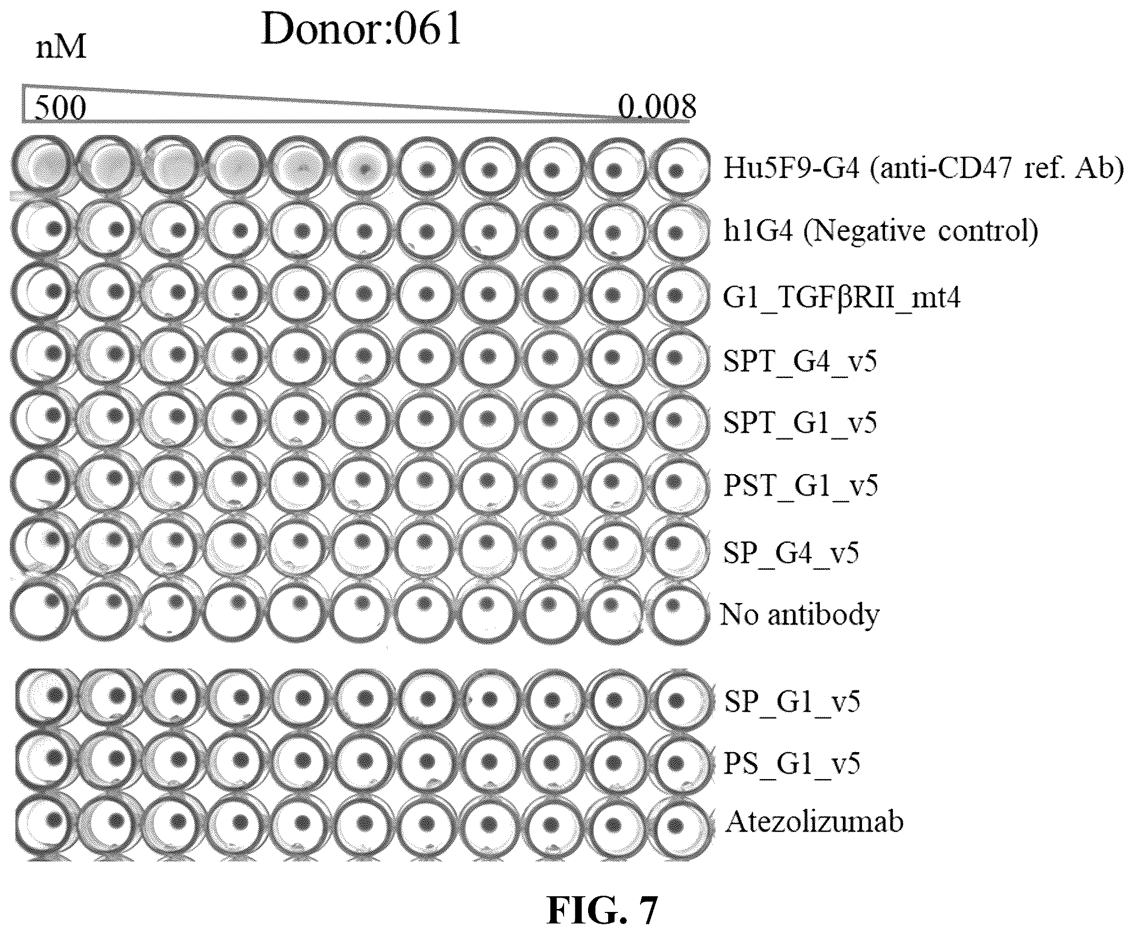 Patent US12583926 Figure 16 – CD47/pd-L1-targeting protein complex and methods of use thereof