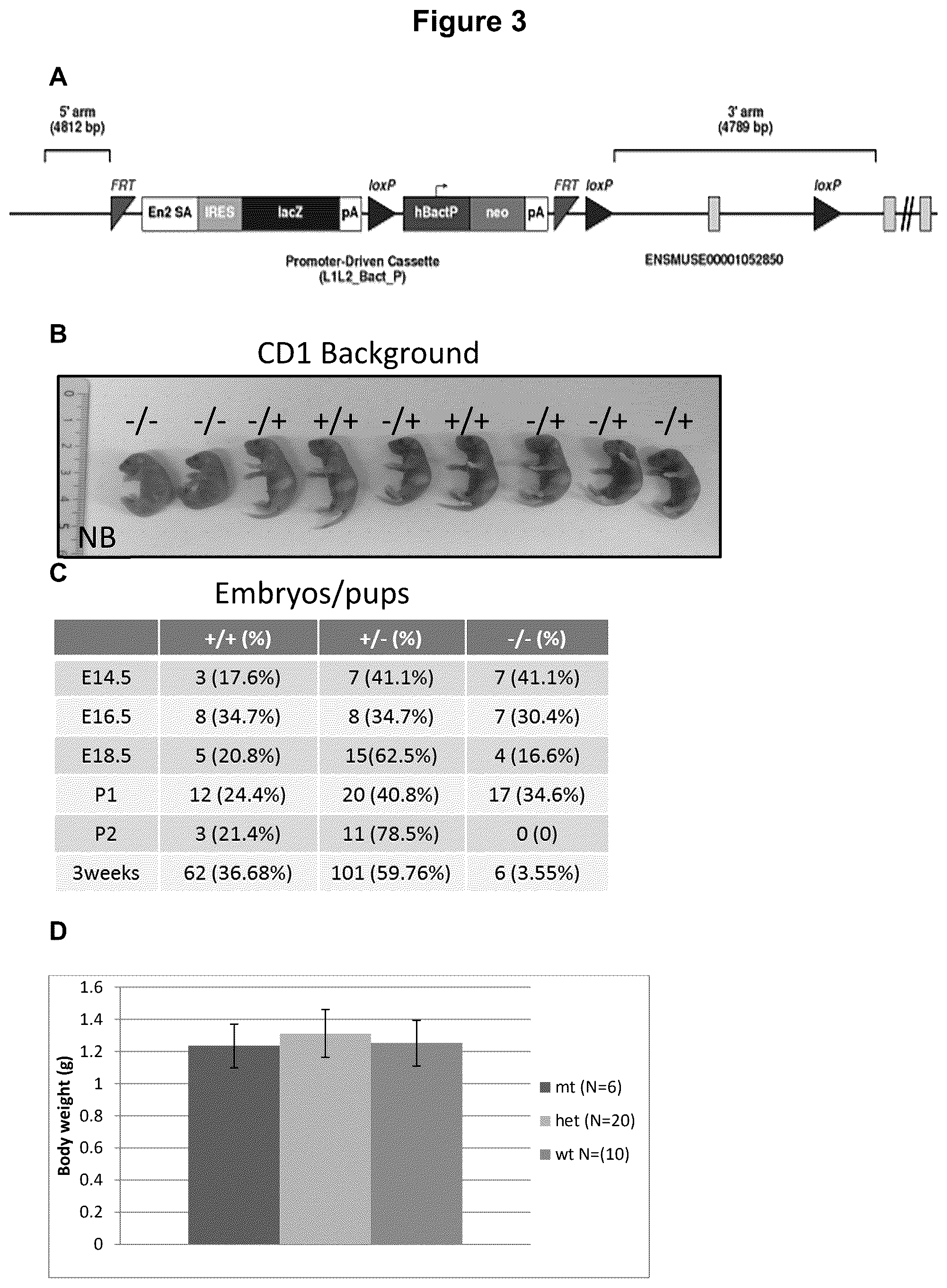 Patent US12583928 Figure 4 – Antibodies against IGFR-like receptor and uses thereof