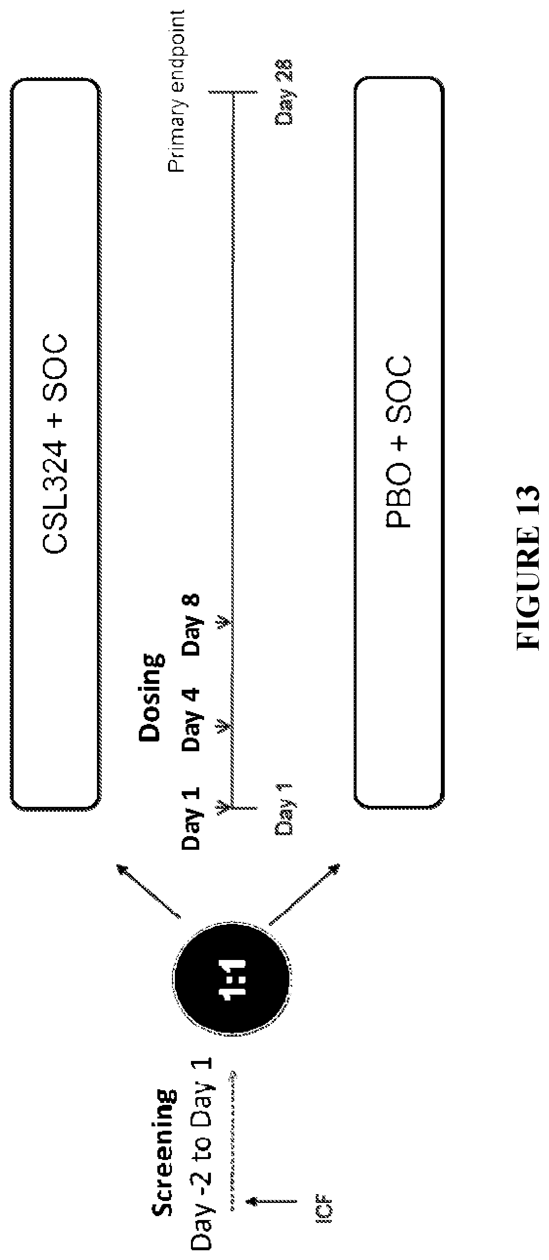Patent US12583929 Figure 13 – Method of treating acute respiratory distress syndrome