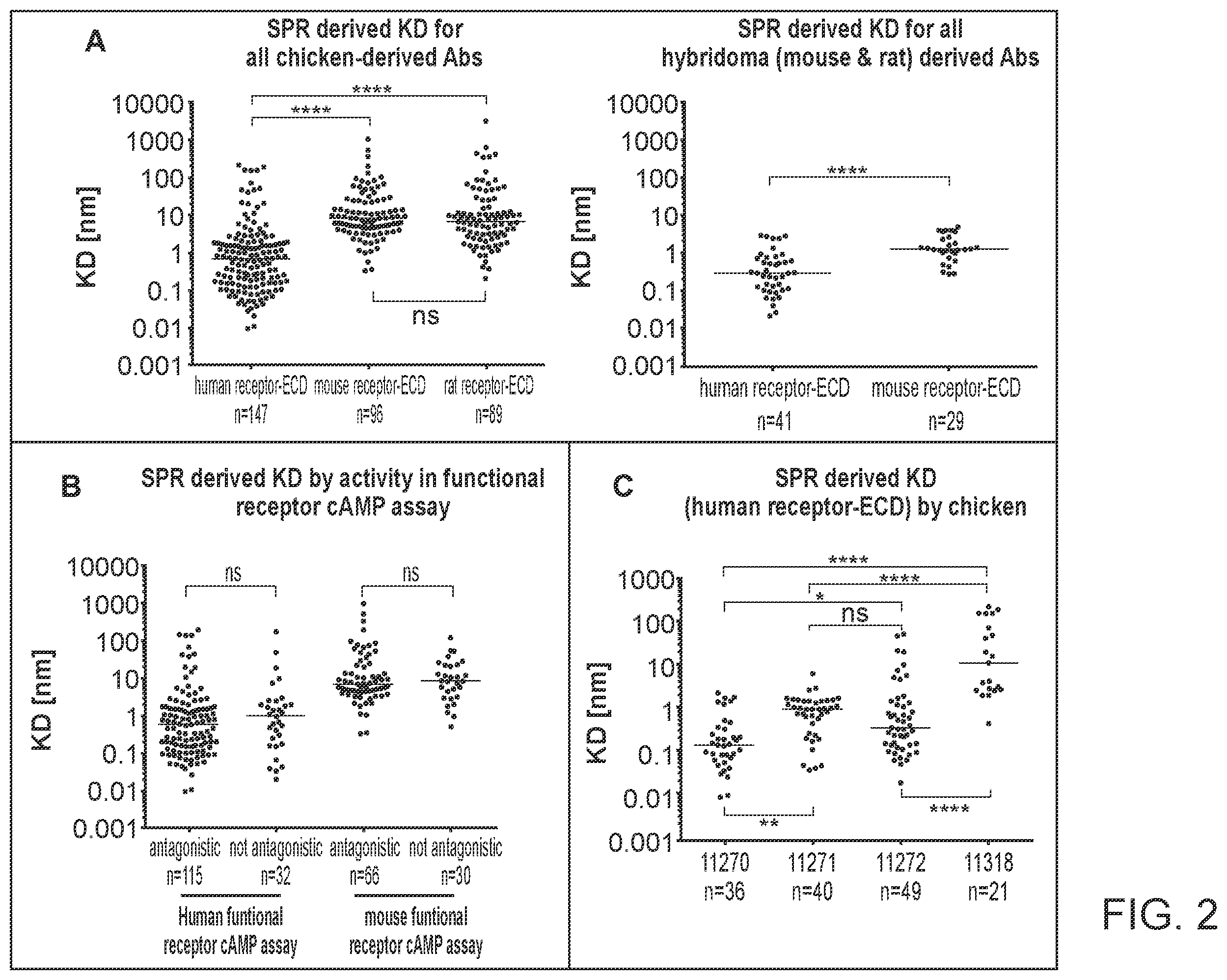 Patent US12583930 Figure 2 – Human glucose-dependent insulinotropic polypeptide receptor (GIPR) antibodies and methods of use thereof to inhibit GIP receptor and signaling