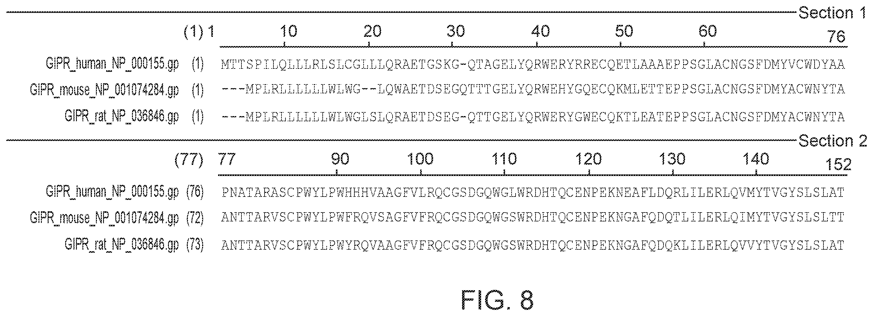 Patent US12583930 Figure 11 – Human glucose-dependent insulinotropic polypeptide receptor (GIPR) antibodies and methods of use thereof to inhibit GIP receptor and signaling