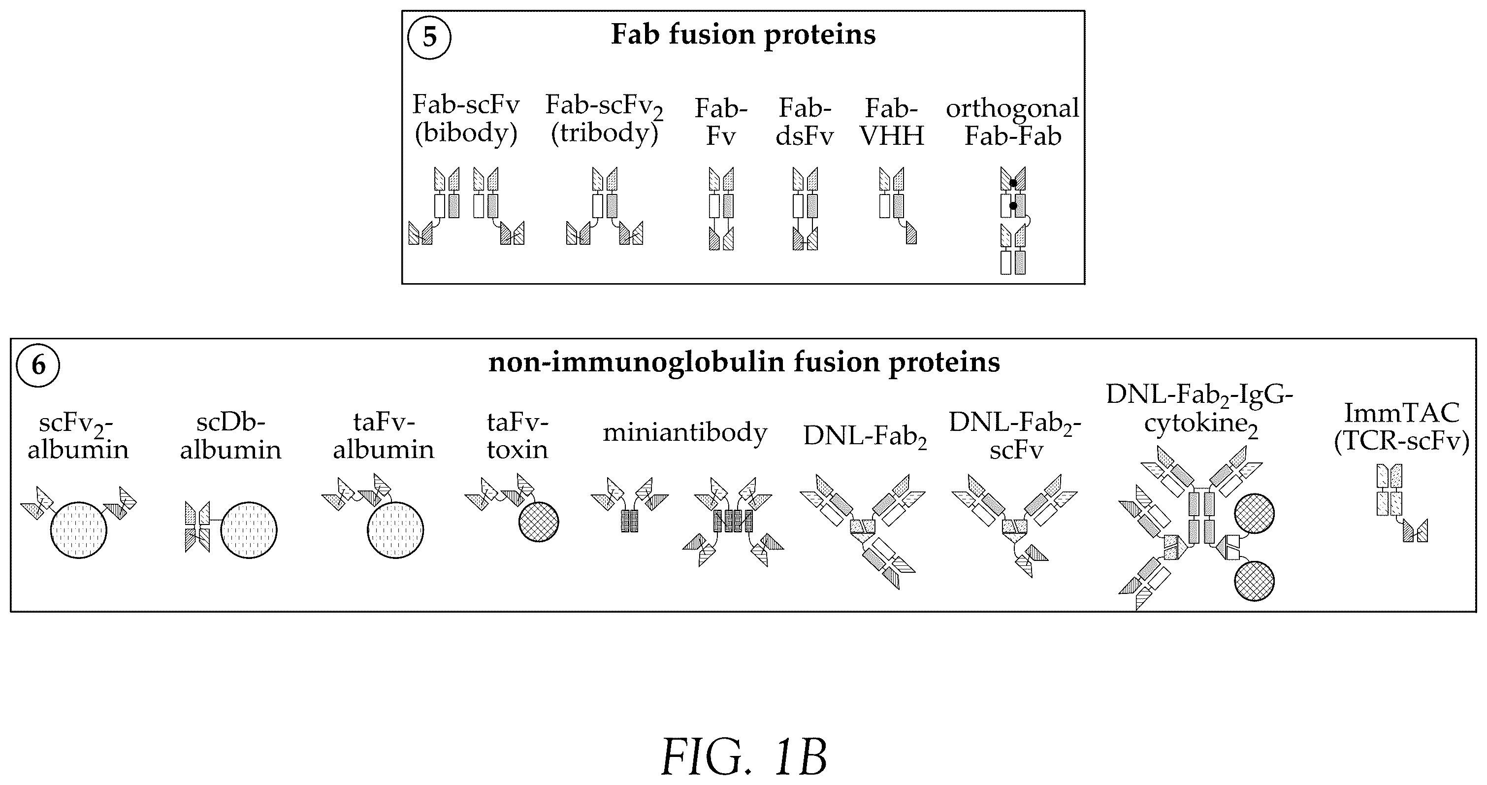 Patent US12583932 Figure 2 – CD38 and ICAM1 antibodies and uses thereof