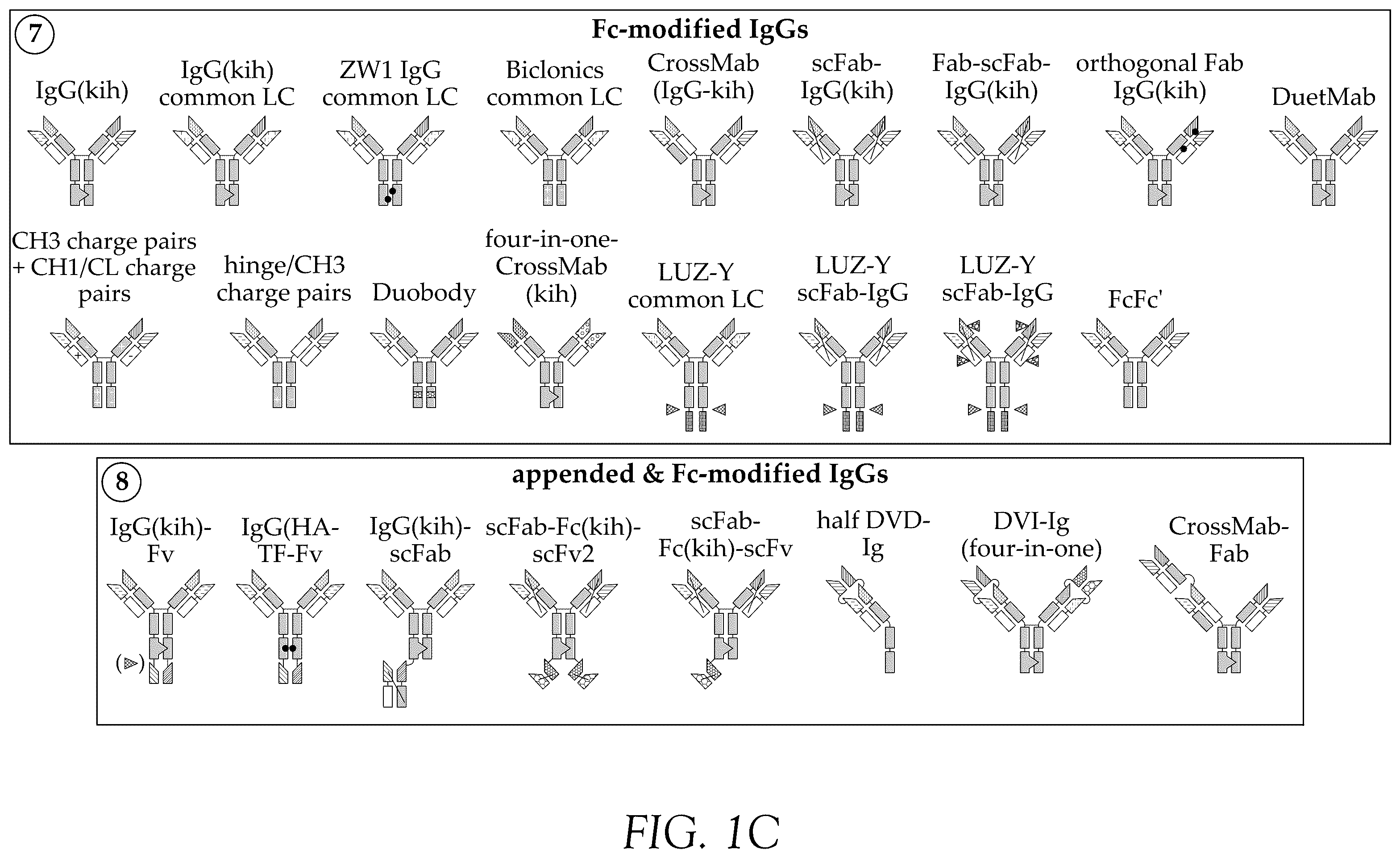 Patent US12583932 Figure 3 – CD38 and ICAM1 antibodies and uses thereof