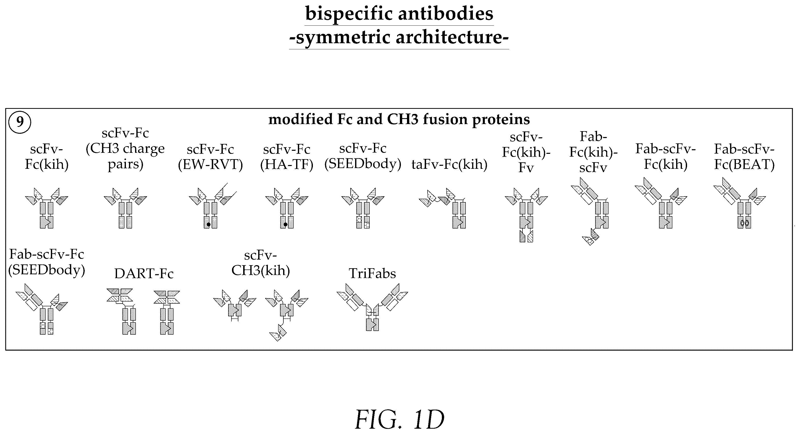 Patent US12583932 Figure 4 – CD38 and ICAM1 antibodies and uses thereof